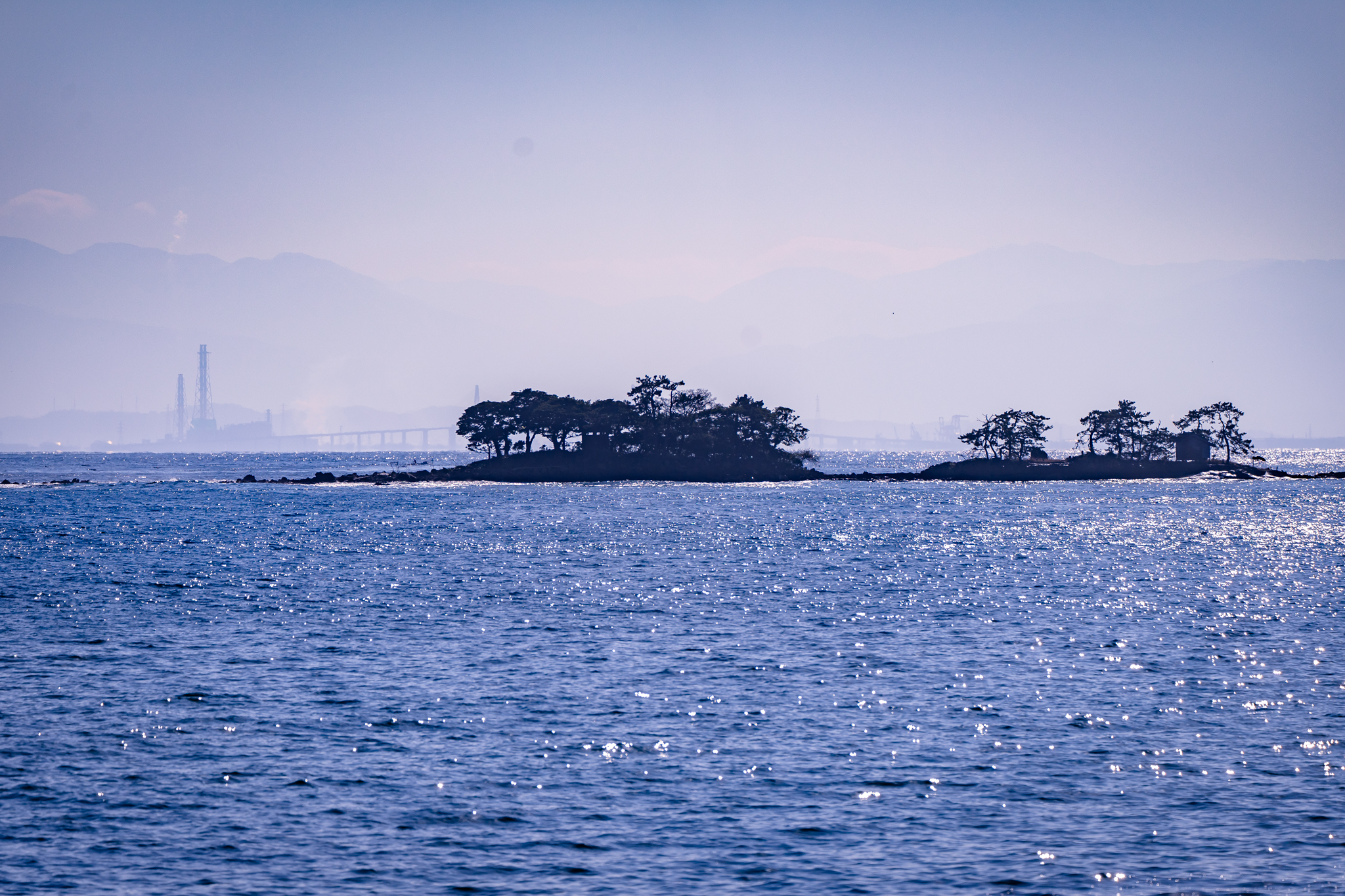 f:id:Paradisia:20211223165703j:plain