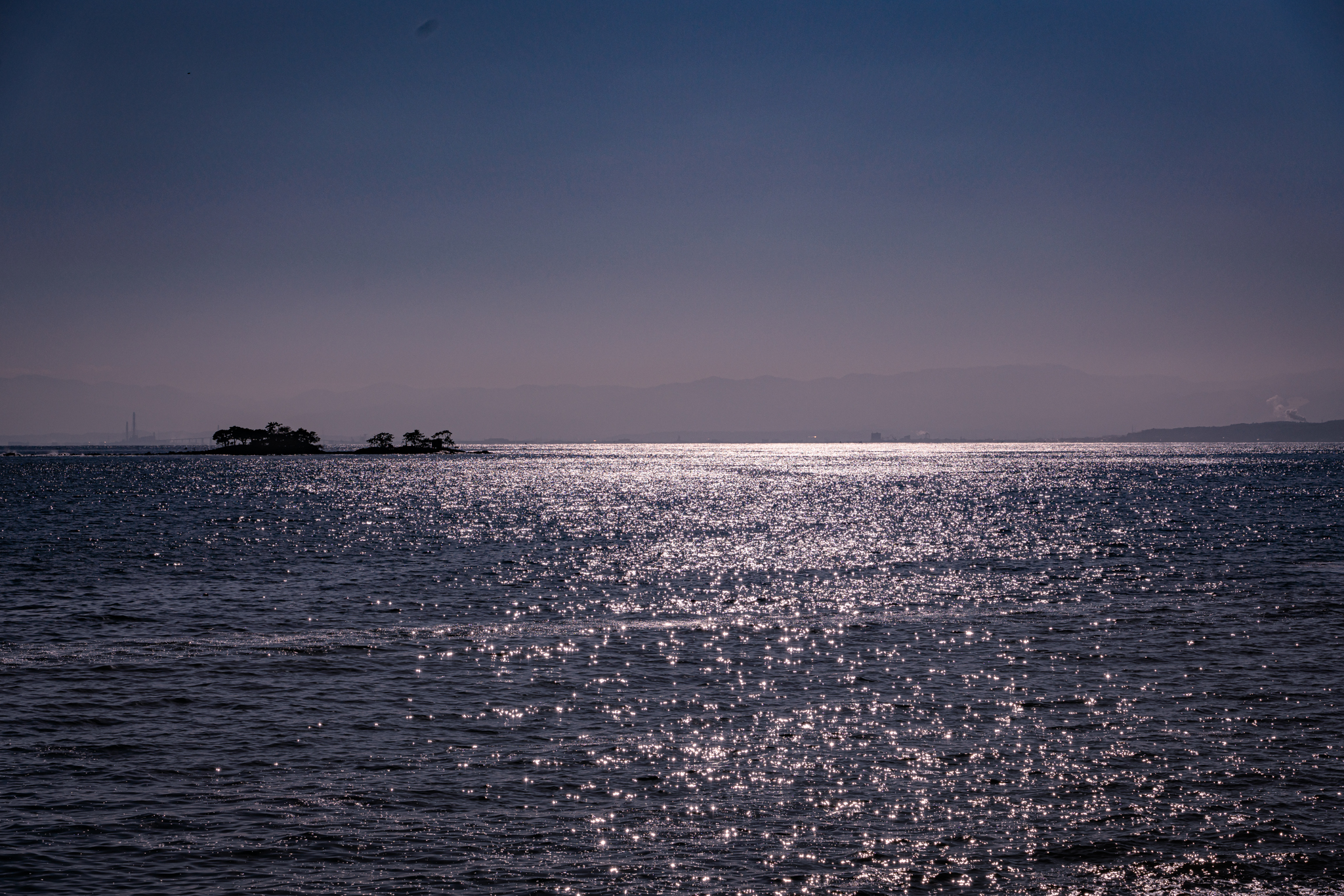 f:id:Paradisia:20211223165936j:plain