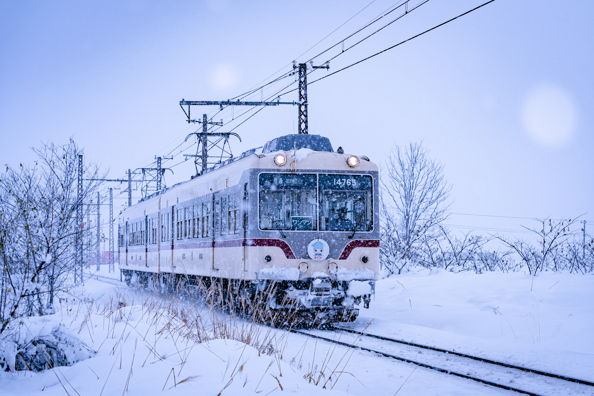 f:id:Paradisia:20211227175135j:plain