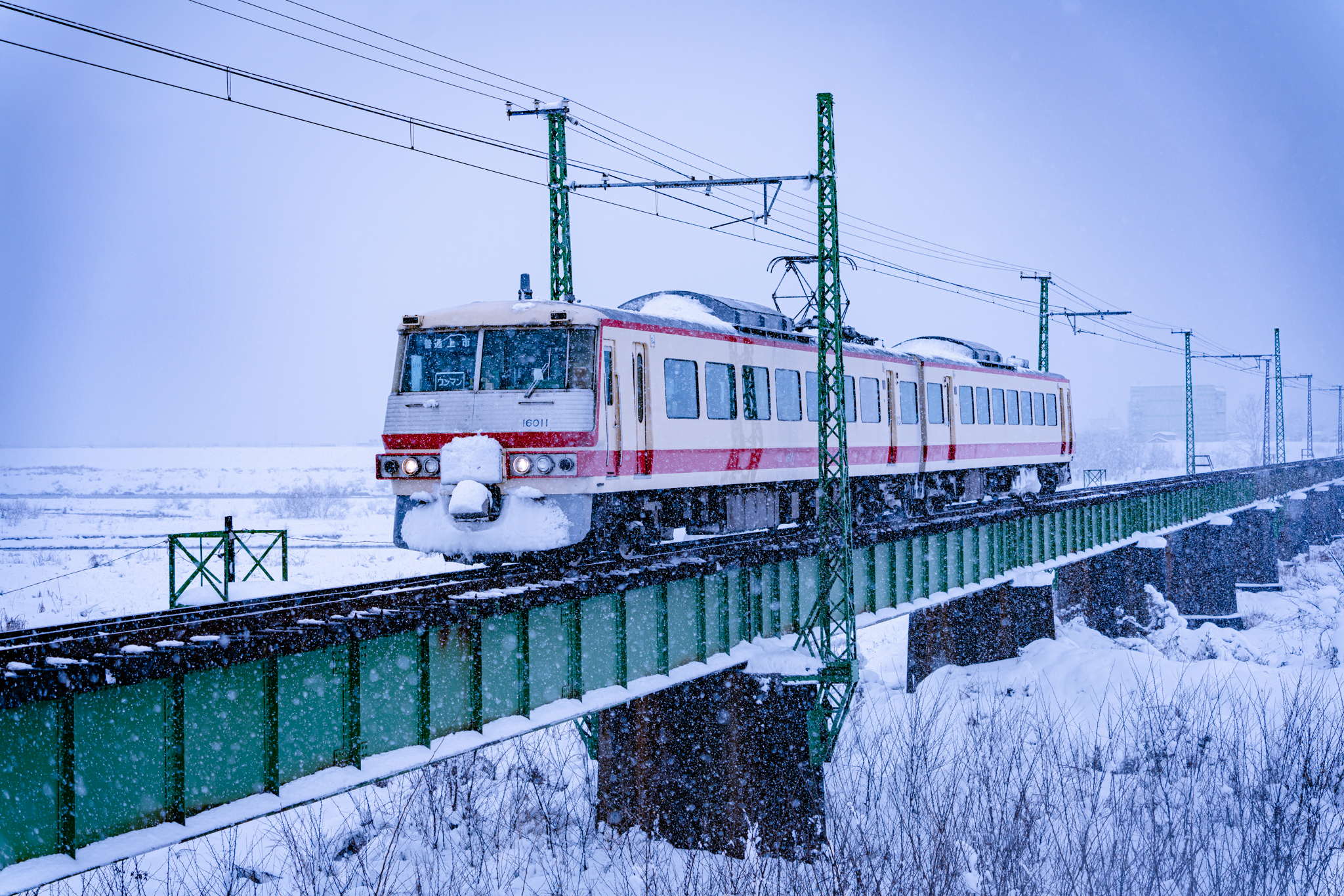 f:id:Paradisia:20211227181417j:plain