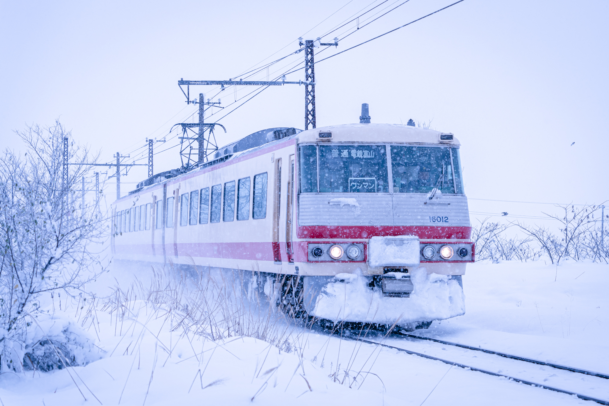 f:id:Paradisia:20211228073412j:plain