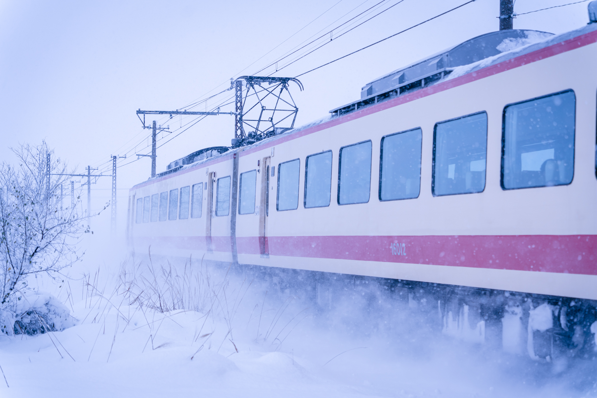 f:id:Paradisia:20211228073428j:plain