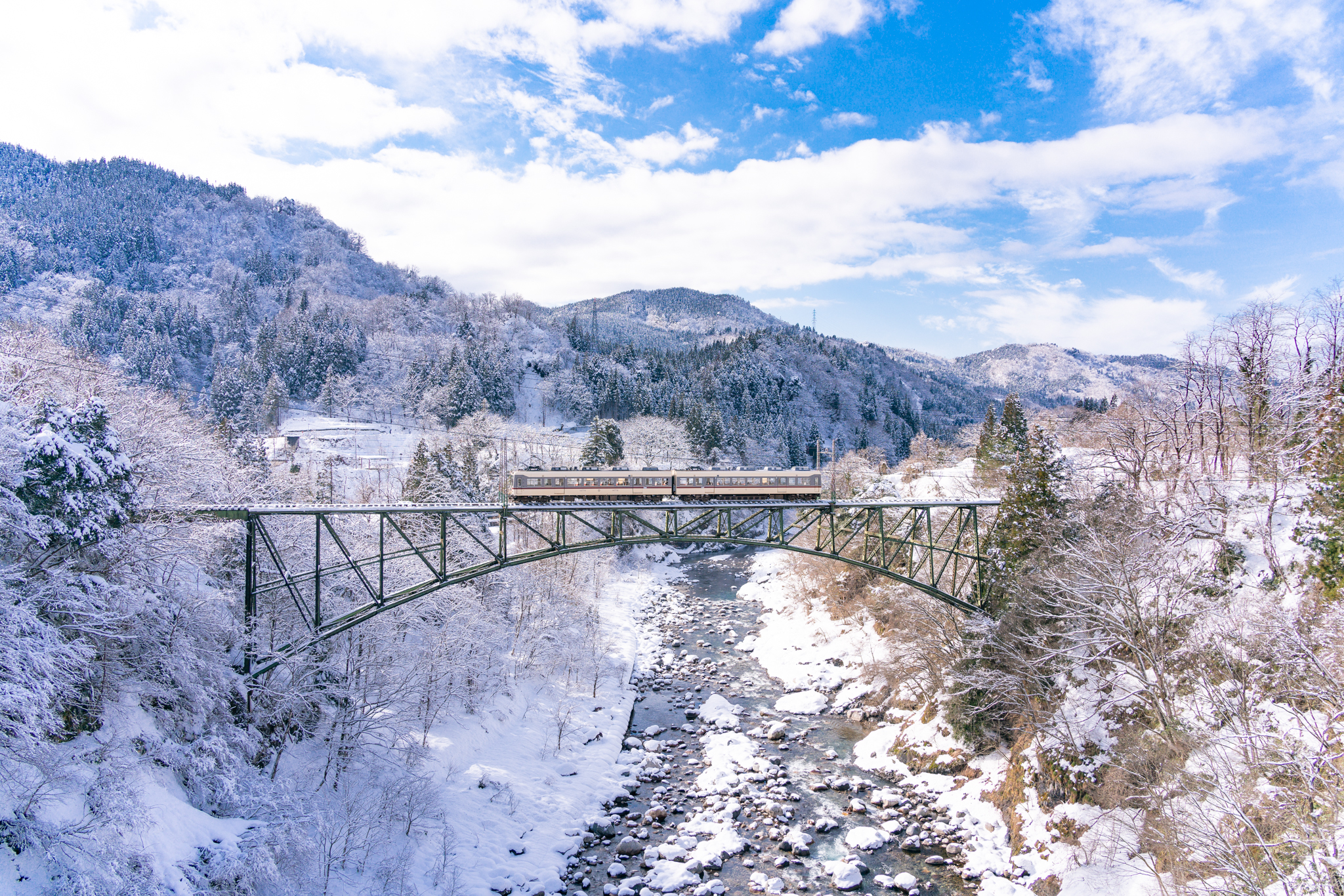 f:id:Paradisia:20220107065429j:plain