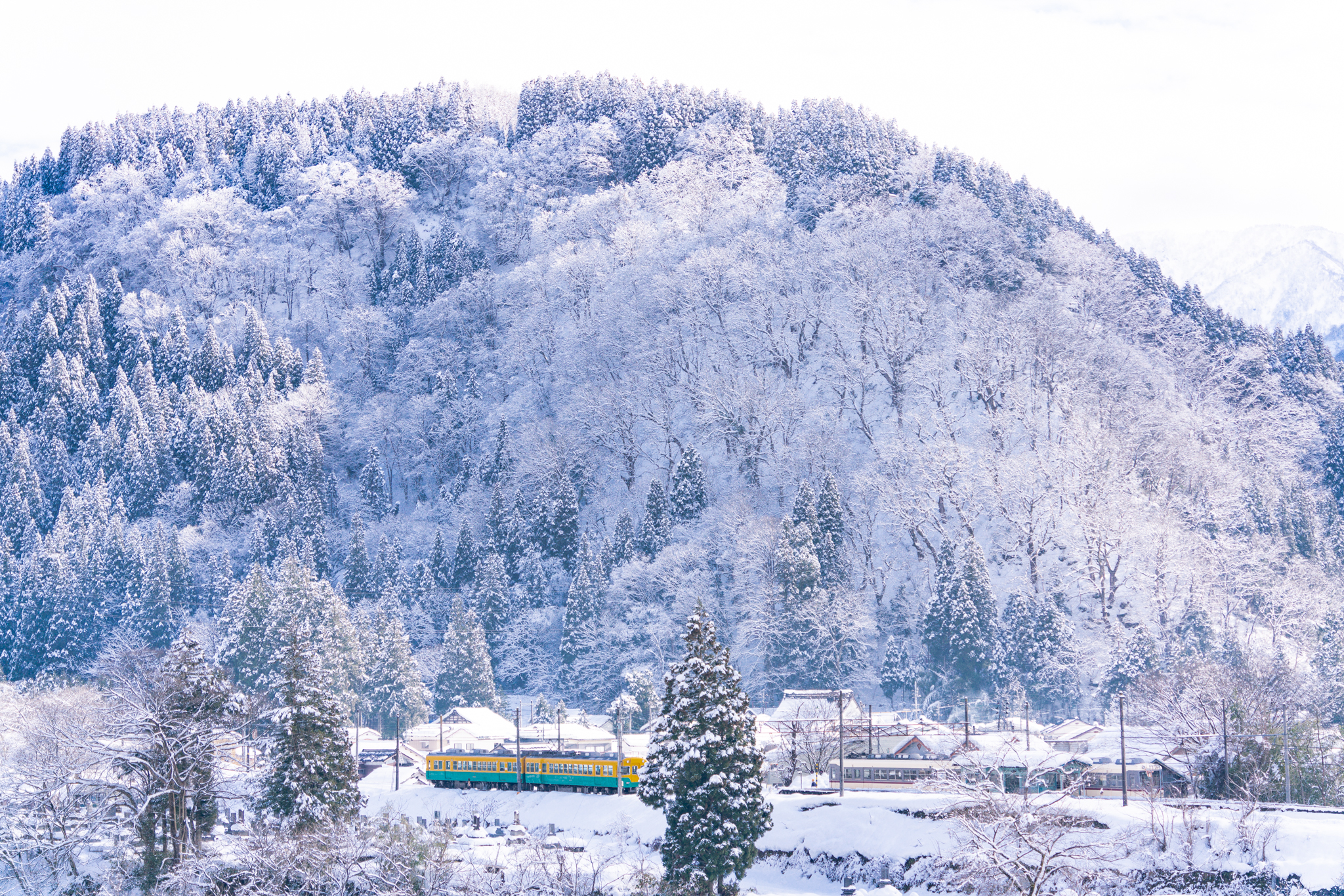 f:id:Paradisia:20220107065451j:plain