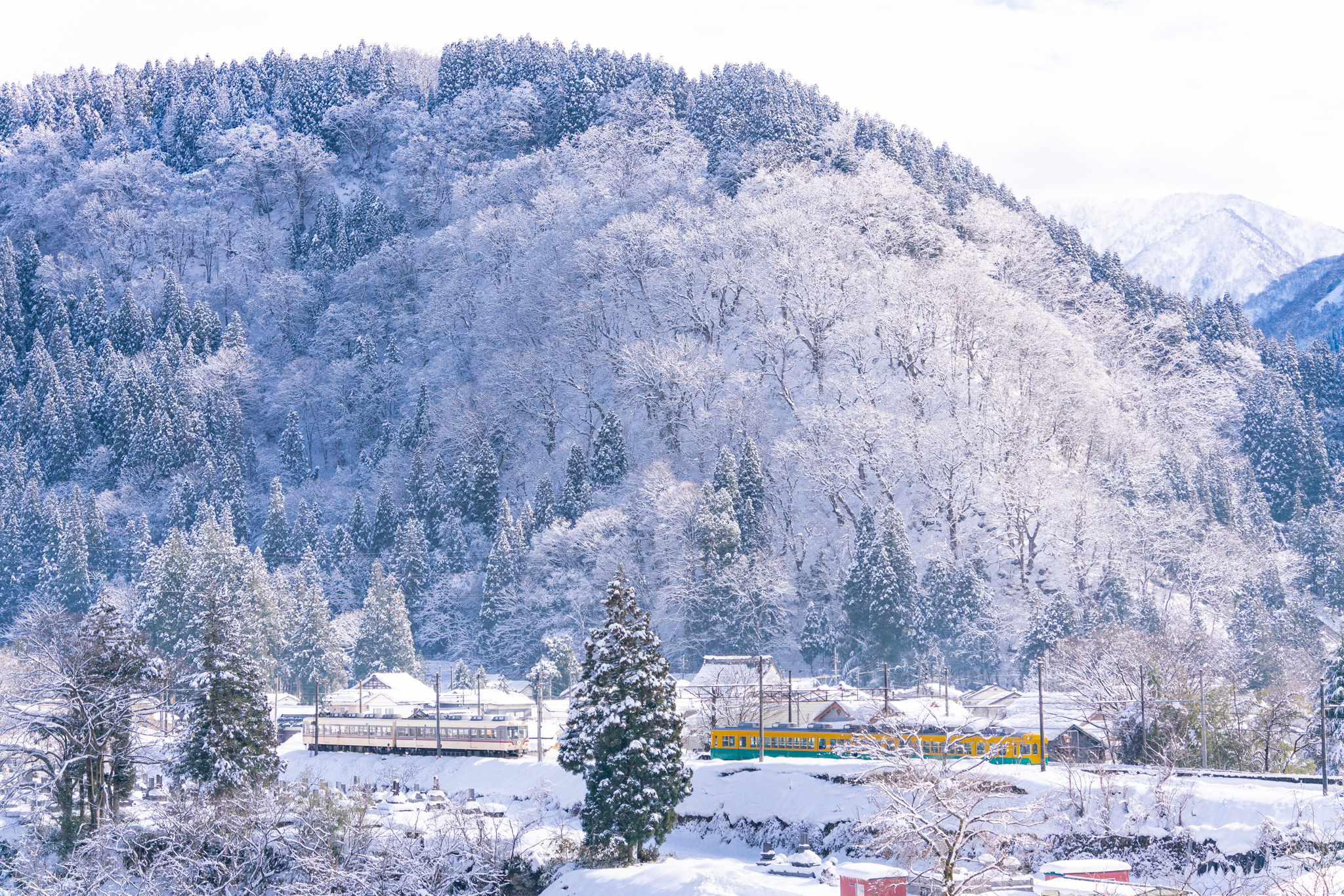 f:id:Paradisia:20220107065515j:plain