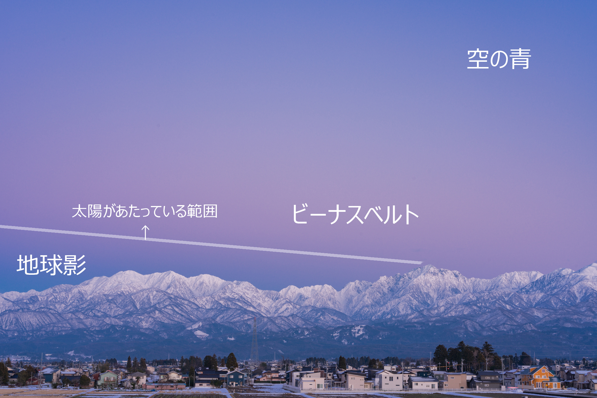 f:id:Paradisia:20220109131734j:plain