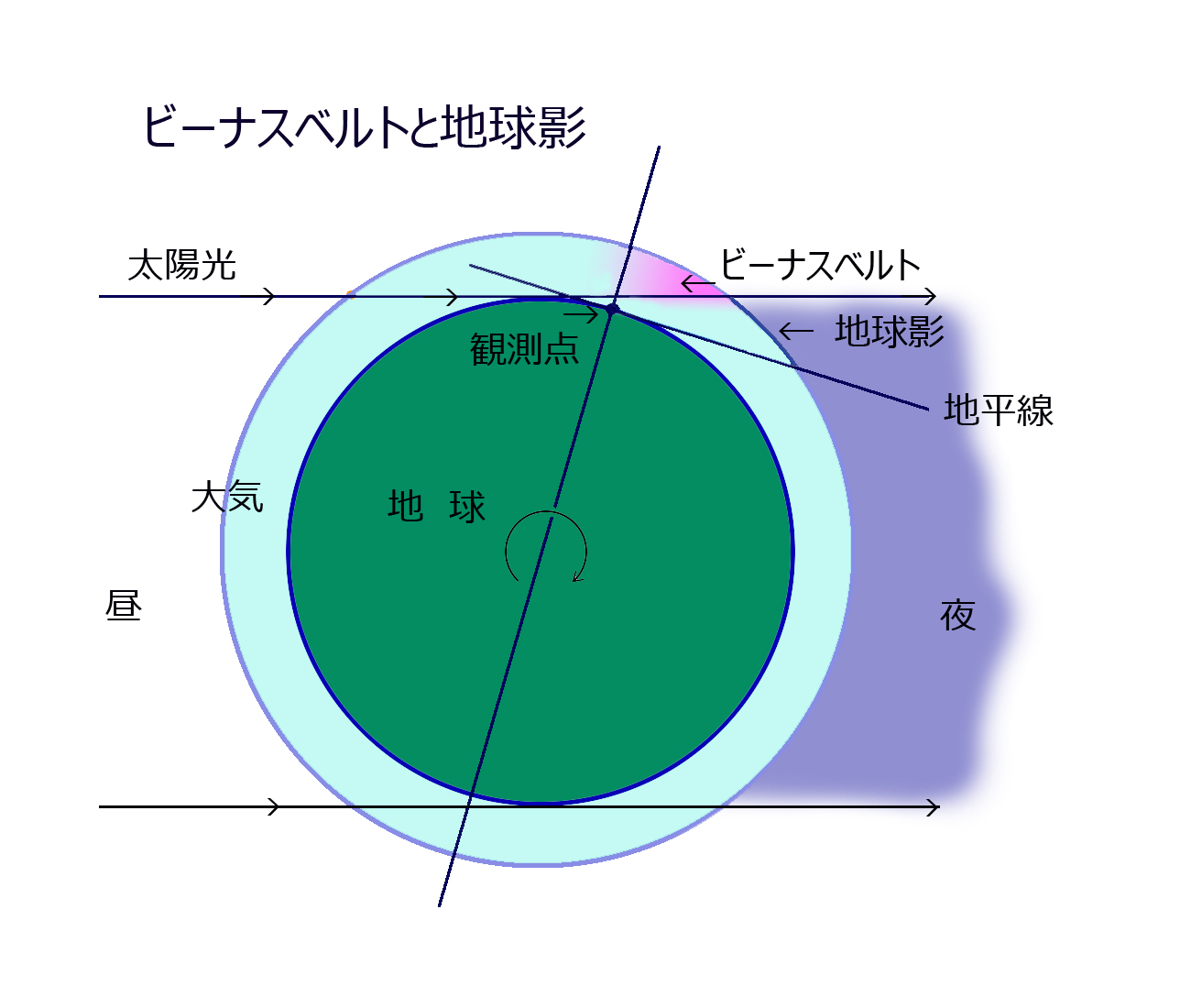 f:id:Paradisia:20220110200142j:plain
