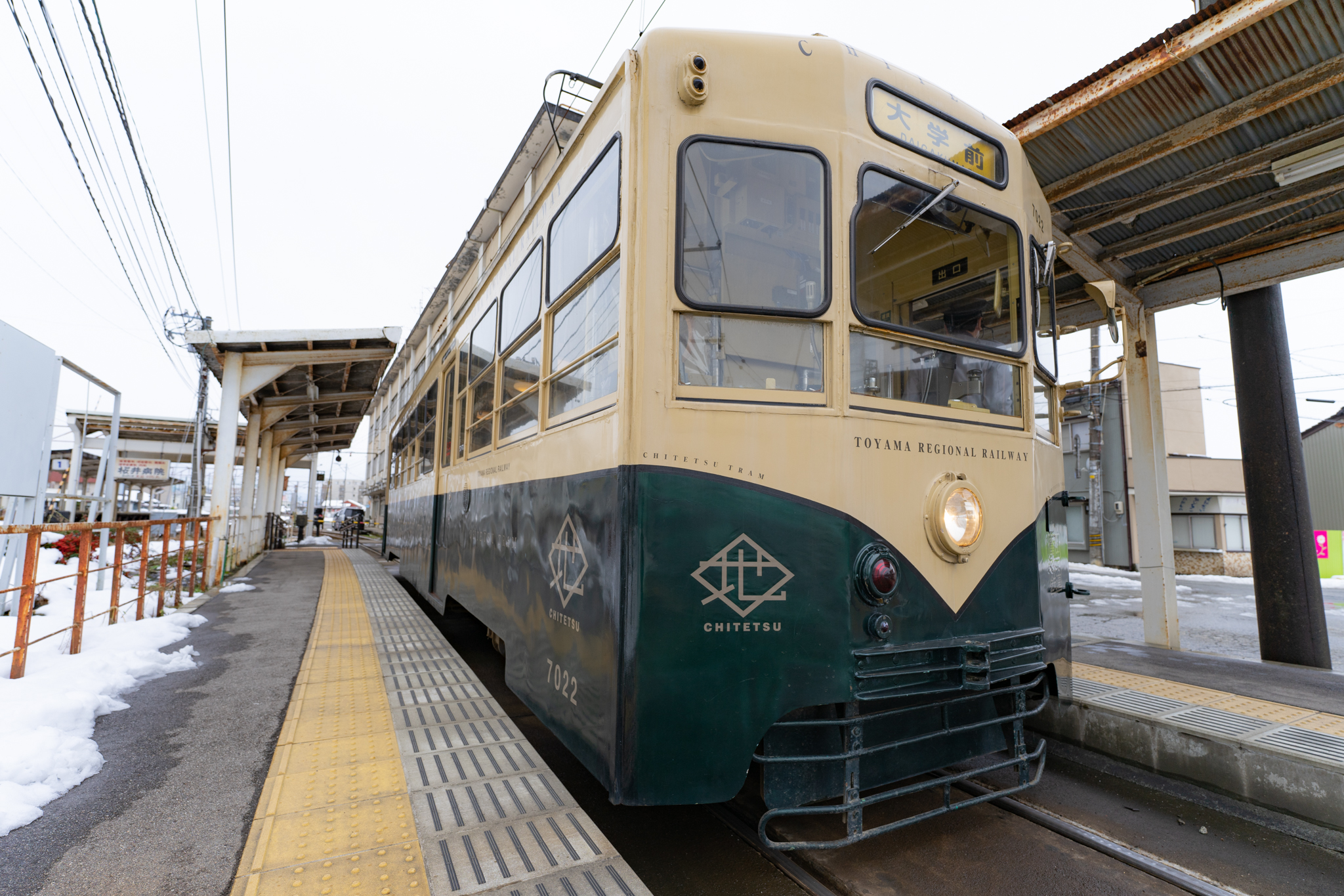 f:id:Paradisia:20220117163156j:plain