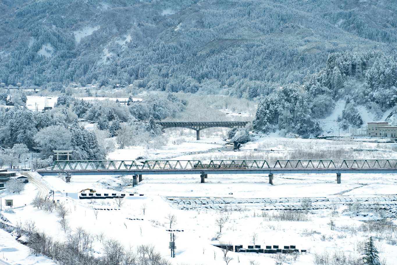 f:id:Paradisia:20220119210554j:plain