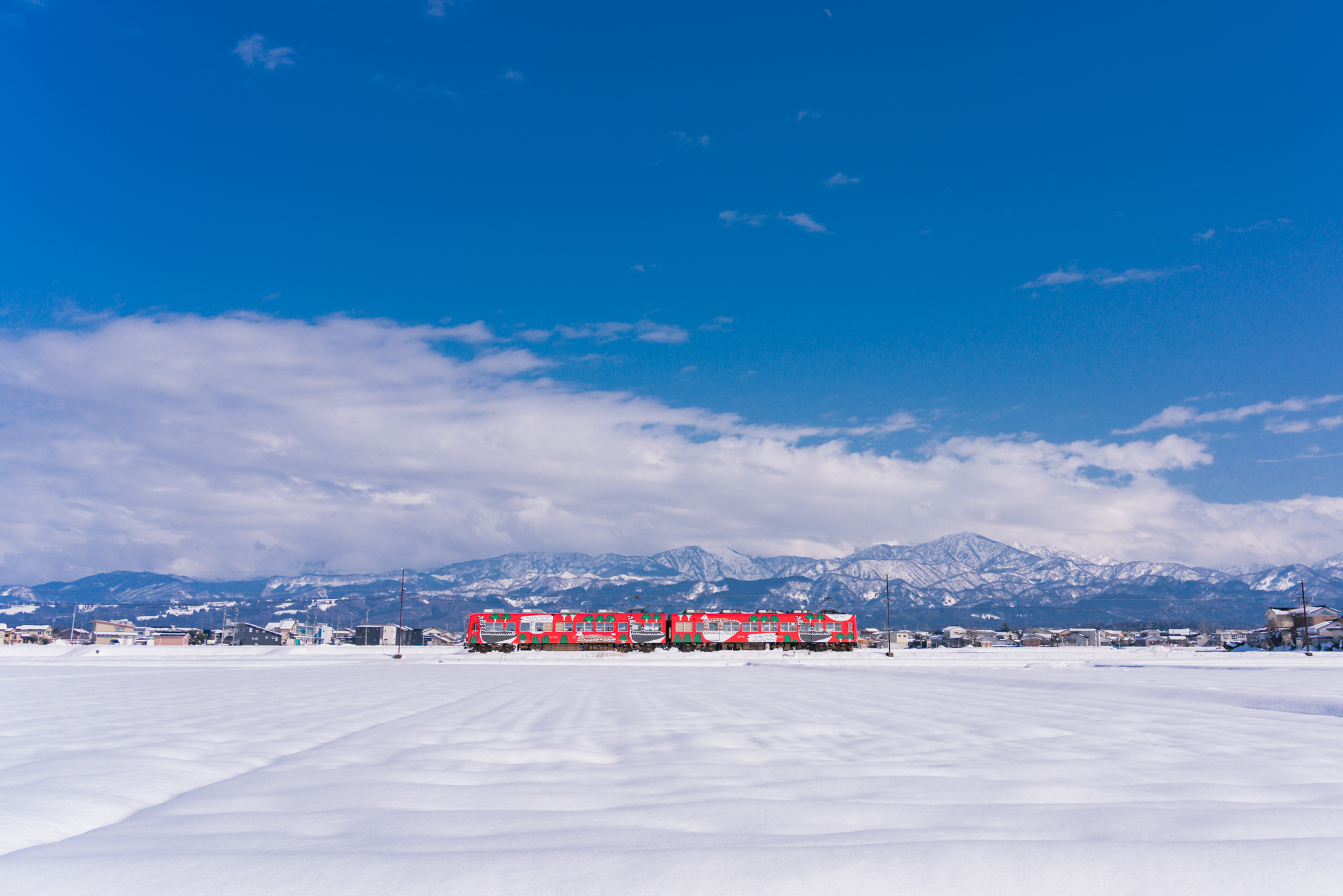 f:id:Paradisia:20220208164037j:plain