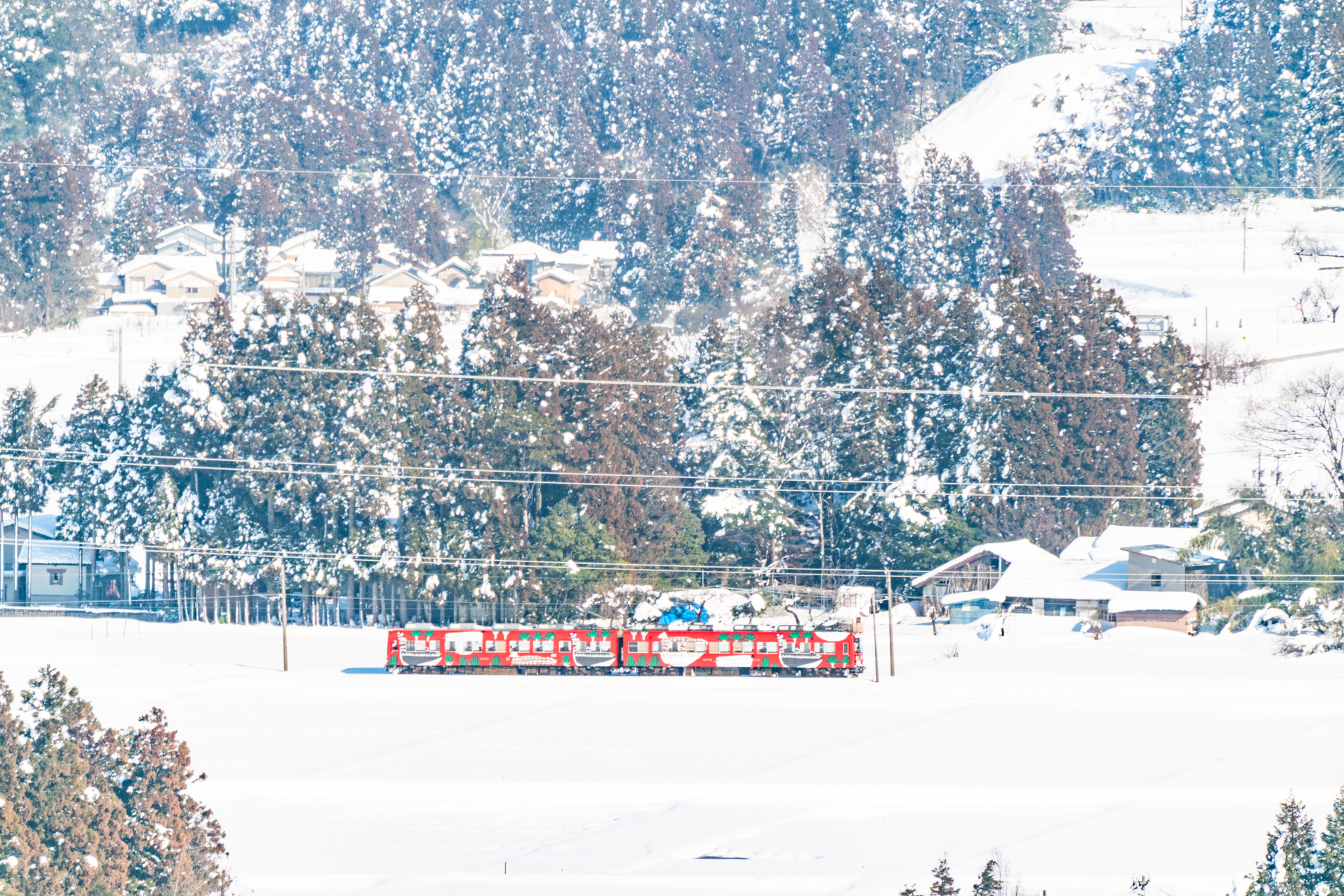 雪原を走るライチョウ電車 光と風と薔薇と