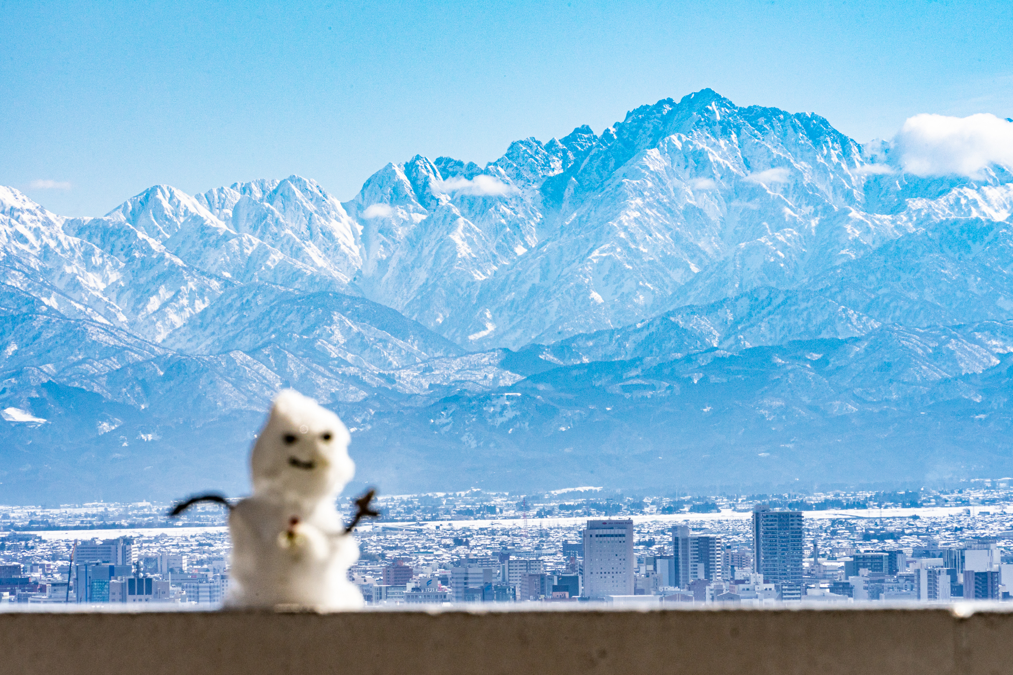 f:id:Paradisia:20220210174609j:plain