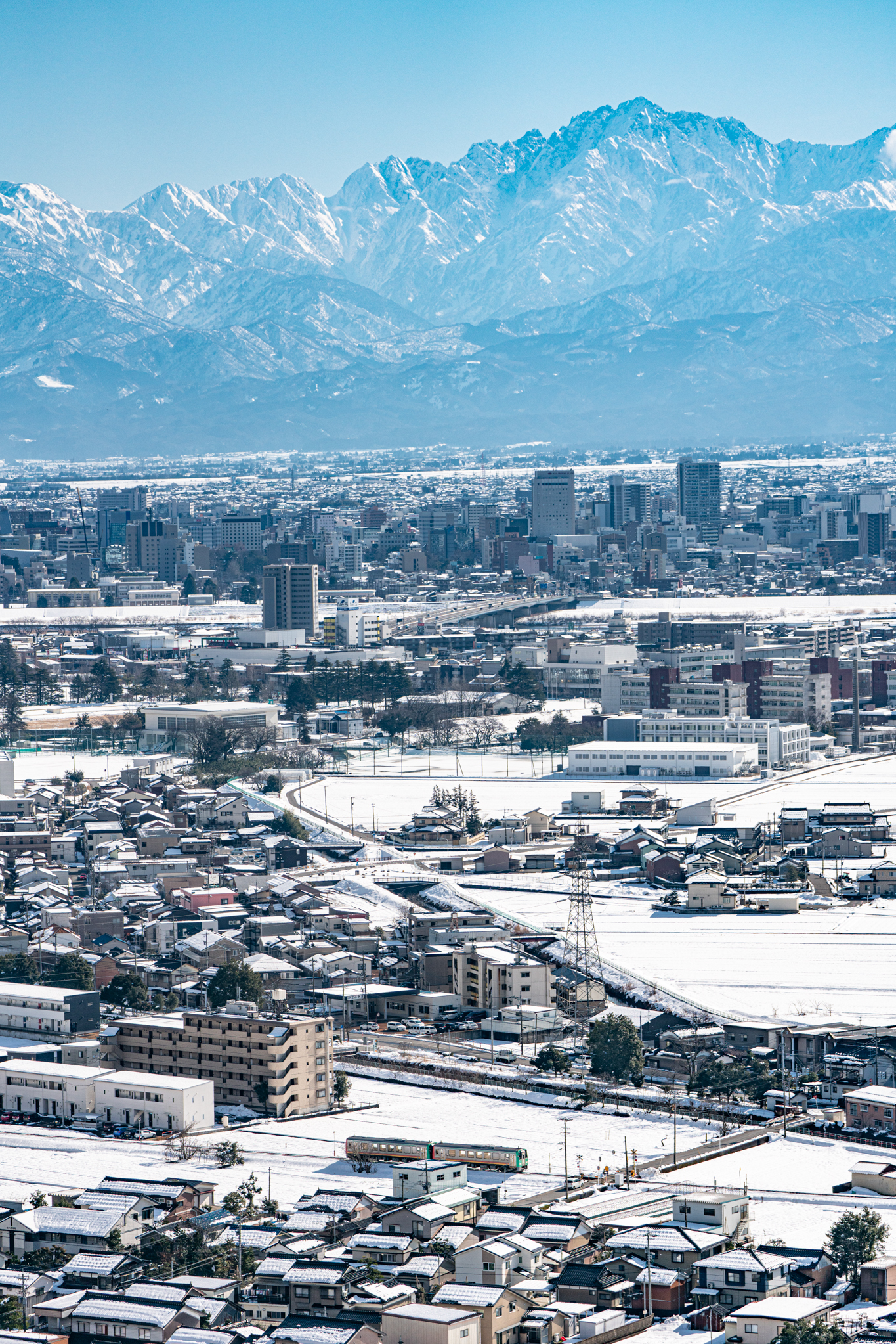 f:id:Paradisia:20220210174648j:plain