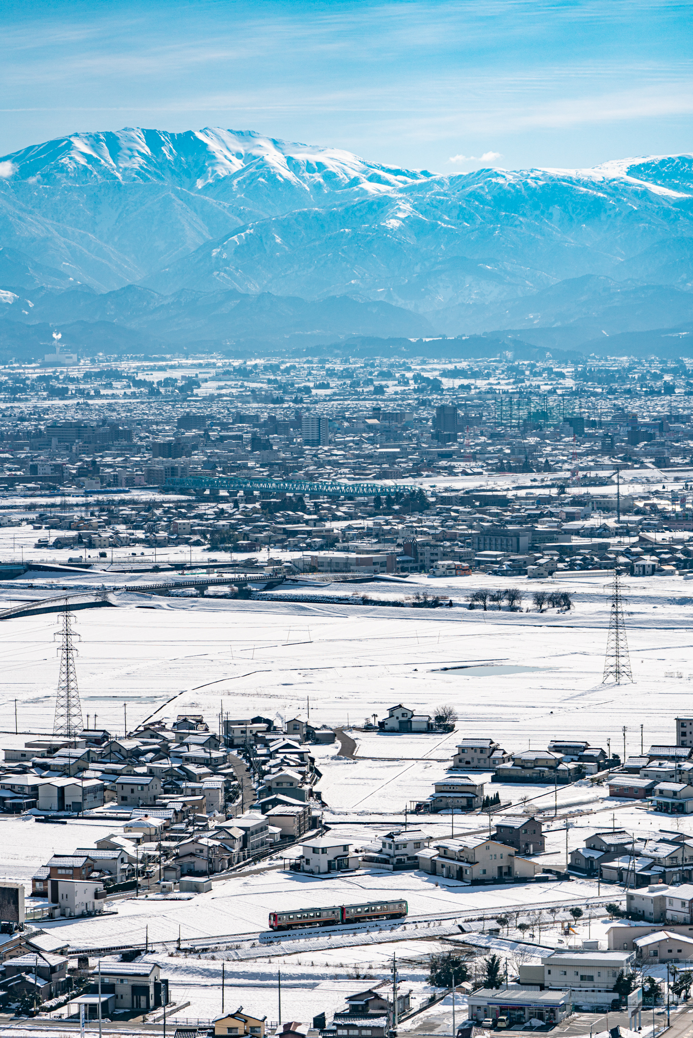 f:id:Paradisia:20220210174710j:plain