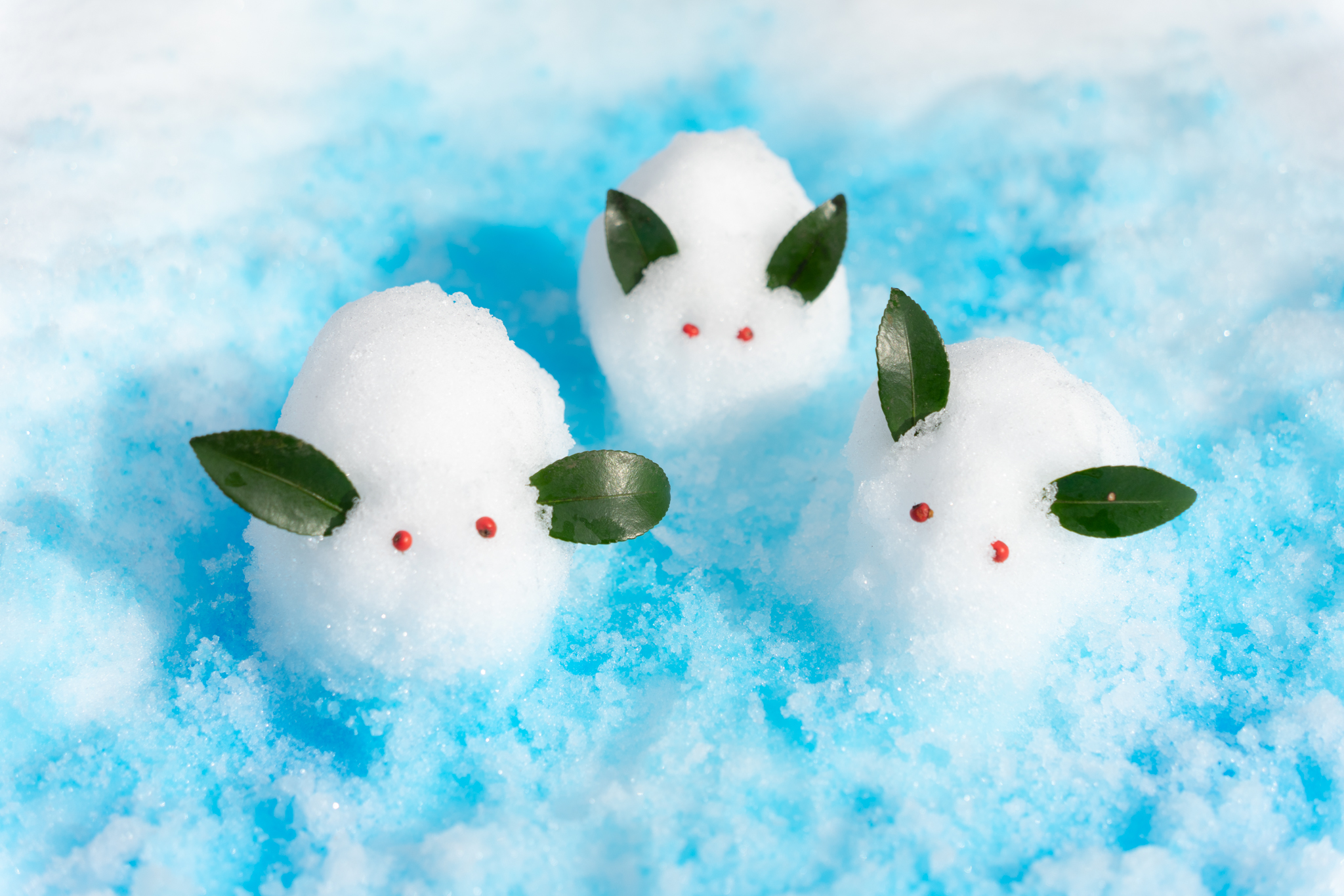 3匹の雪うさぎ - 光と風と薔薇と