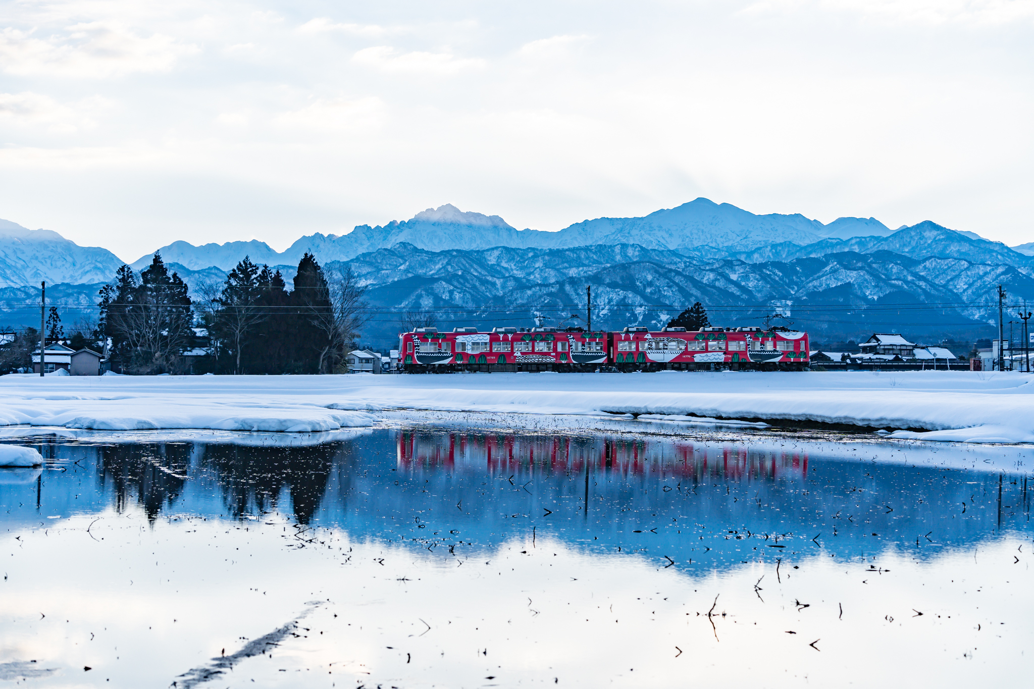 f:id:Paradisia:20220227091242j:plain