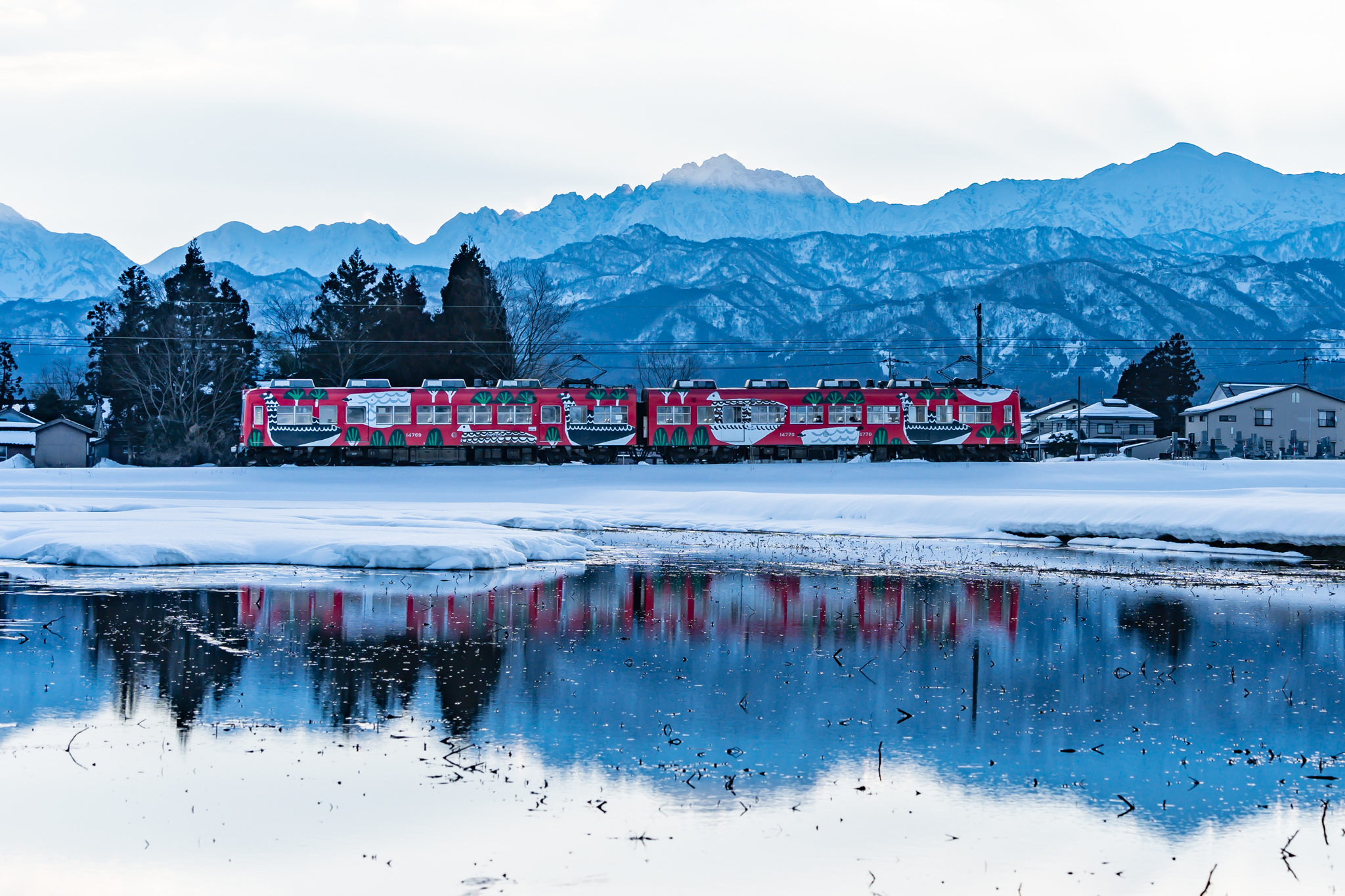 f:id:Paradisia:20220227091542j:plain