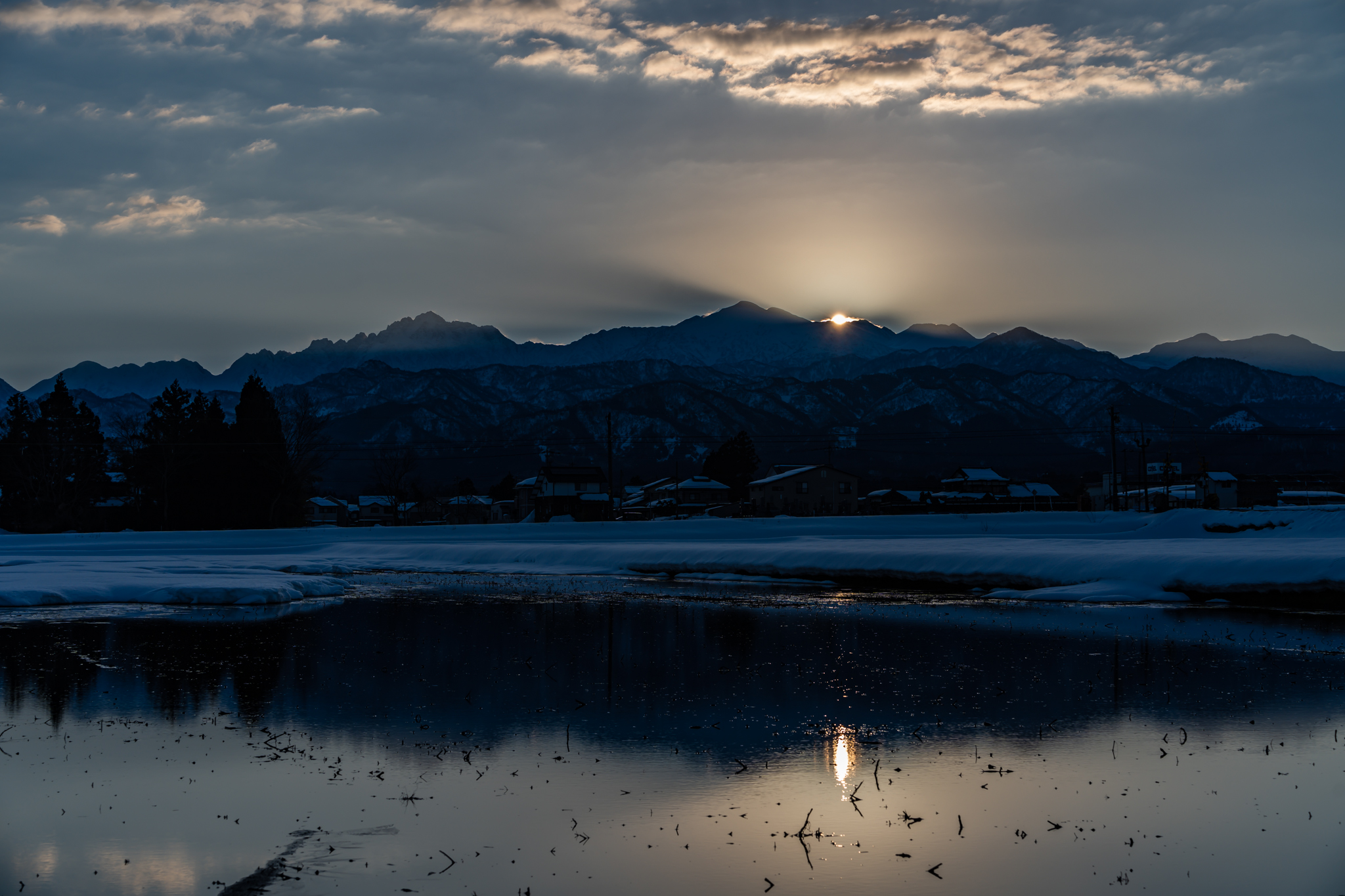 f:id:Paradisia:20220227091705j:plain