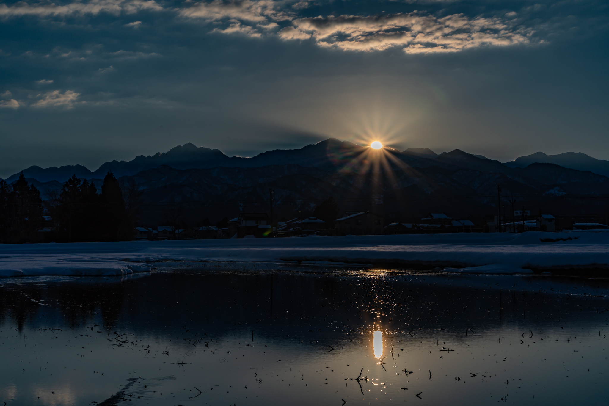 f:id:Paradisia:20220227091849j:plain