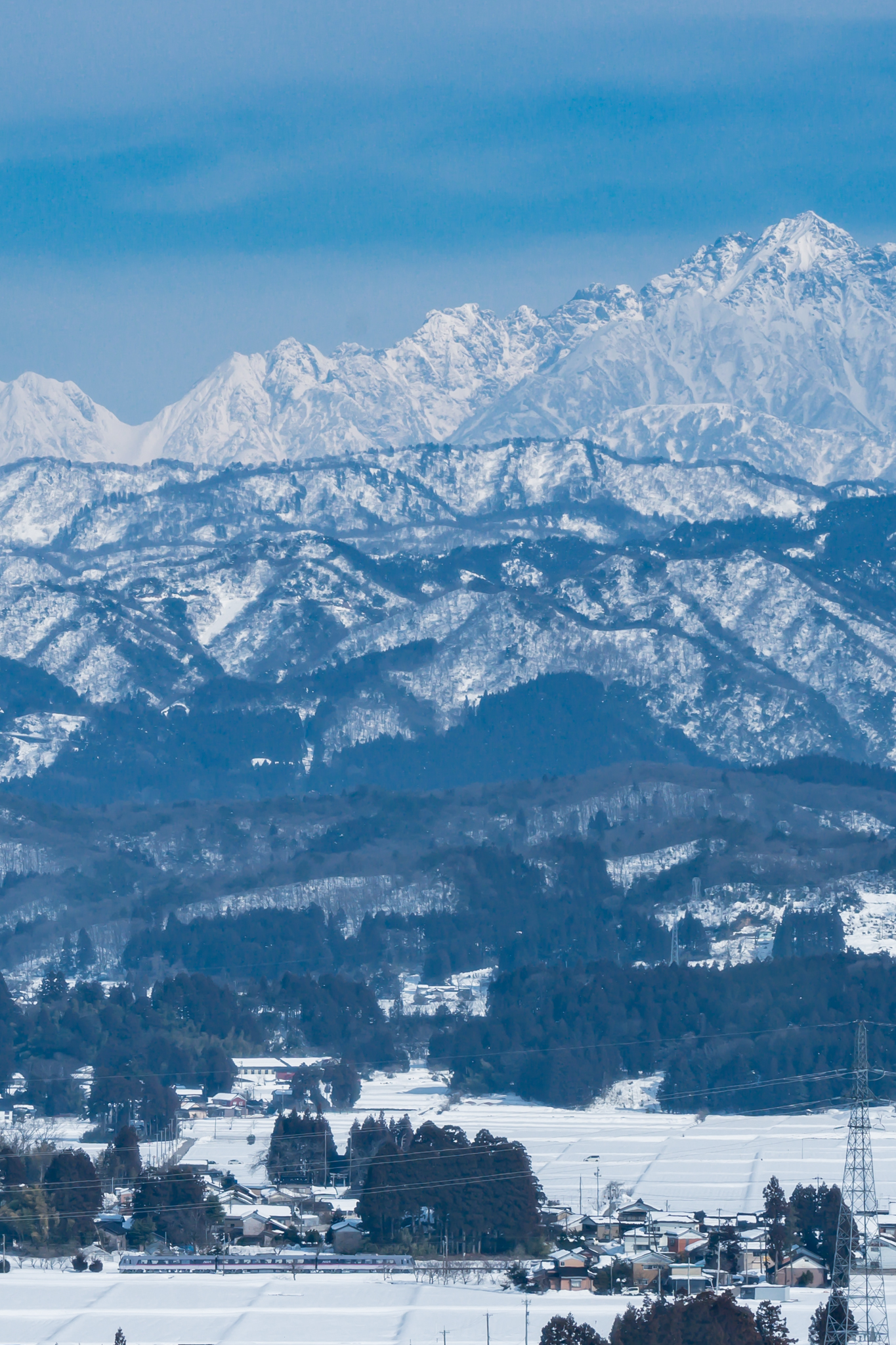 f:id:Paradisia:20220228113433j:plain