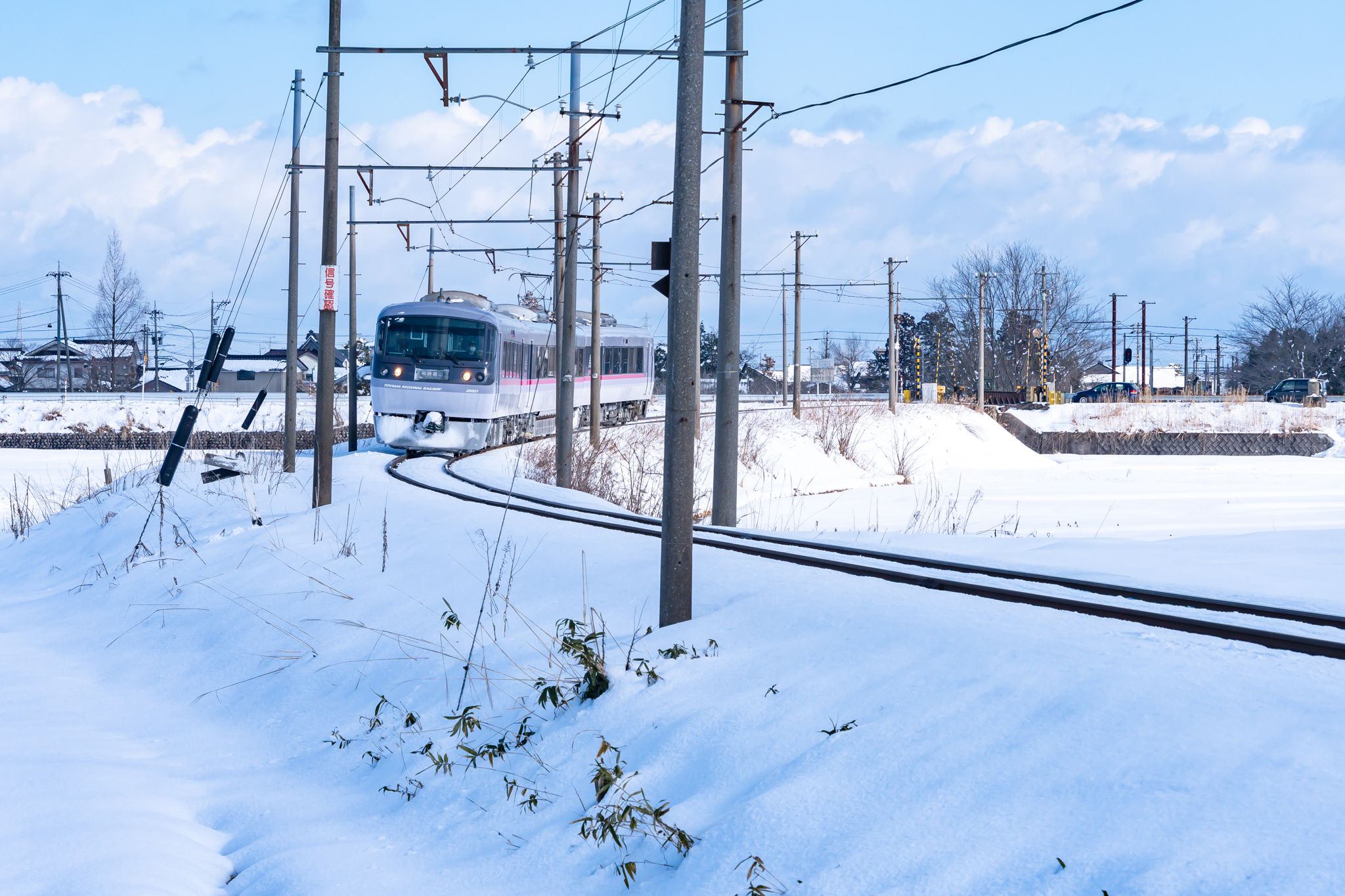 f:id:Paradisia:20220228113707j:plain