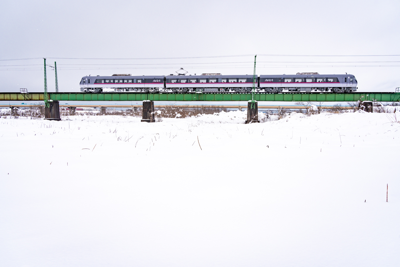 f:id:Paradisia:20220228114013j:plain