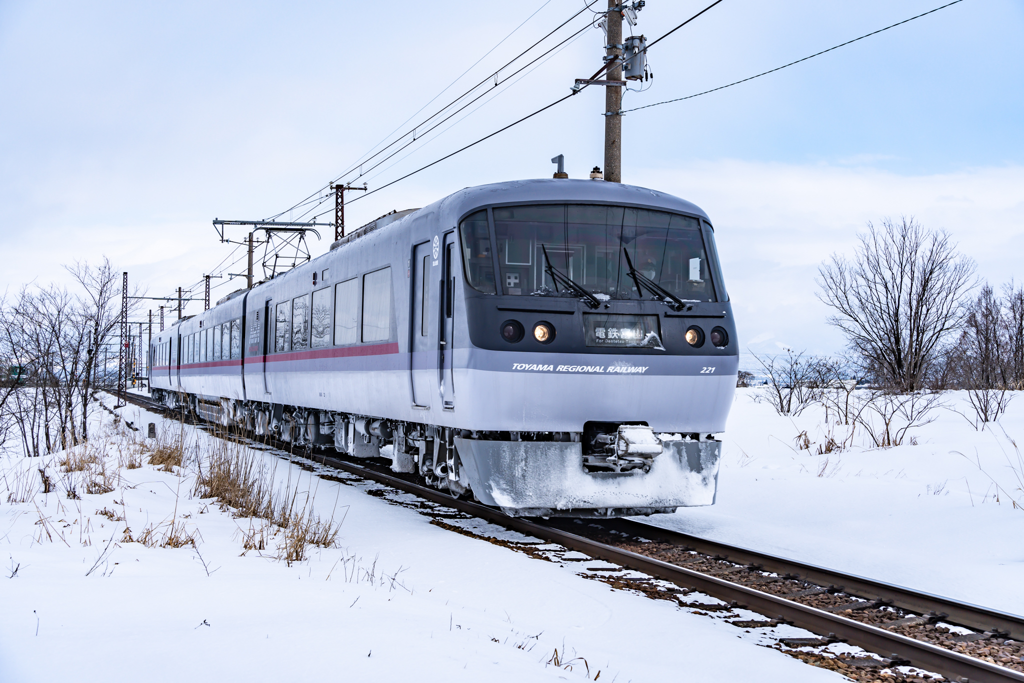 f:id:Paradisia:20220228144741j:plain