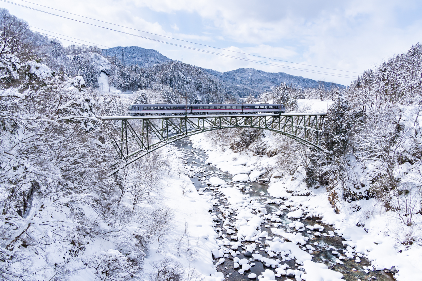 f:id:Paradisia:20220228145257j:plain