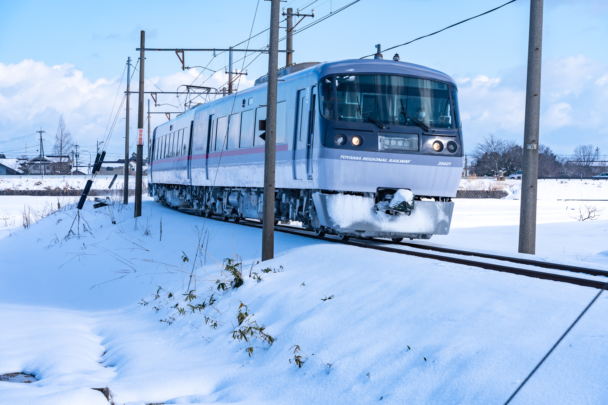 f:id:Paradisia:20220228152131j:plain