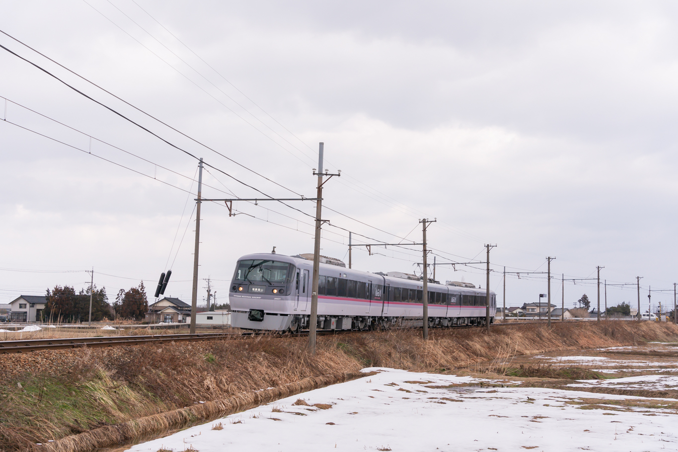 f:id:Paradisia:20220228152620j:plain