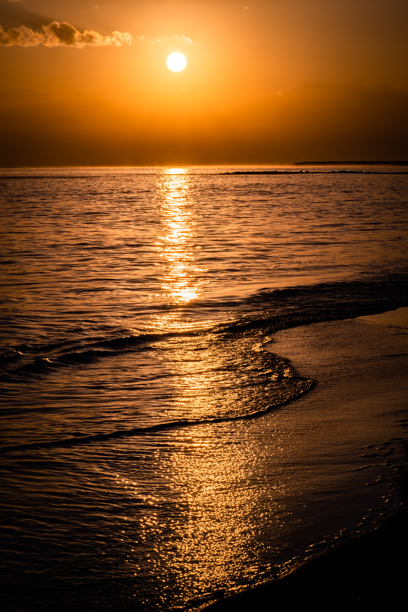 f:id:Paradisia:20220304205045j:plain