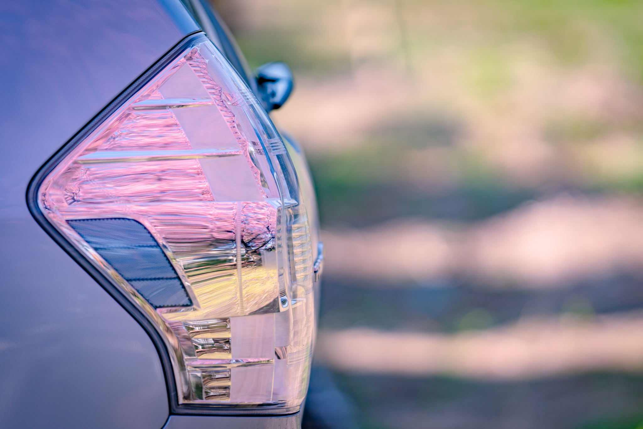 f:id:Paradisia:20220324150022j:plain