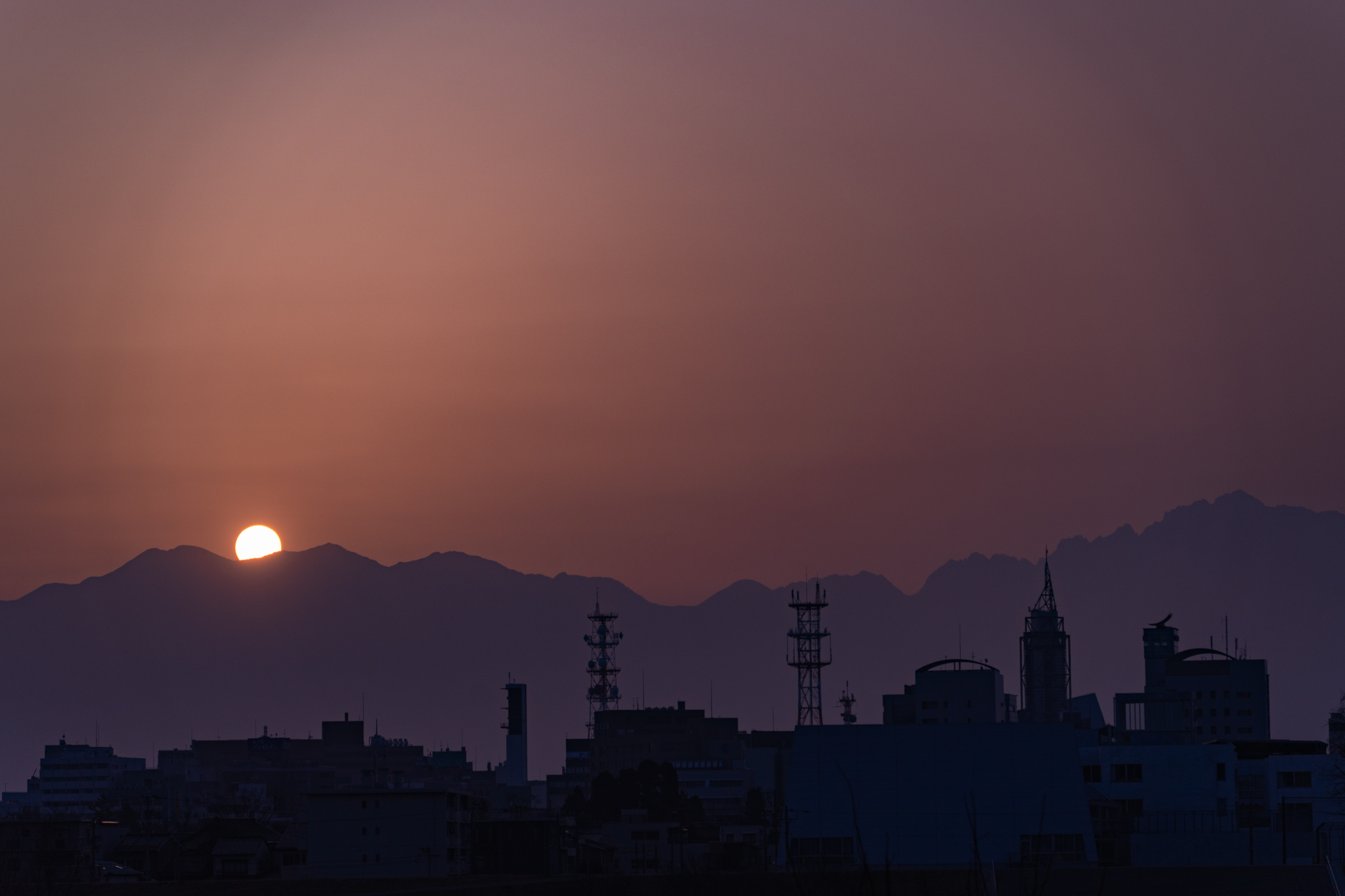 f:id:Paradisia:20220325172458j:plain