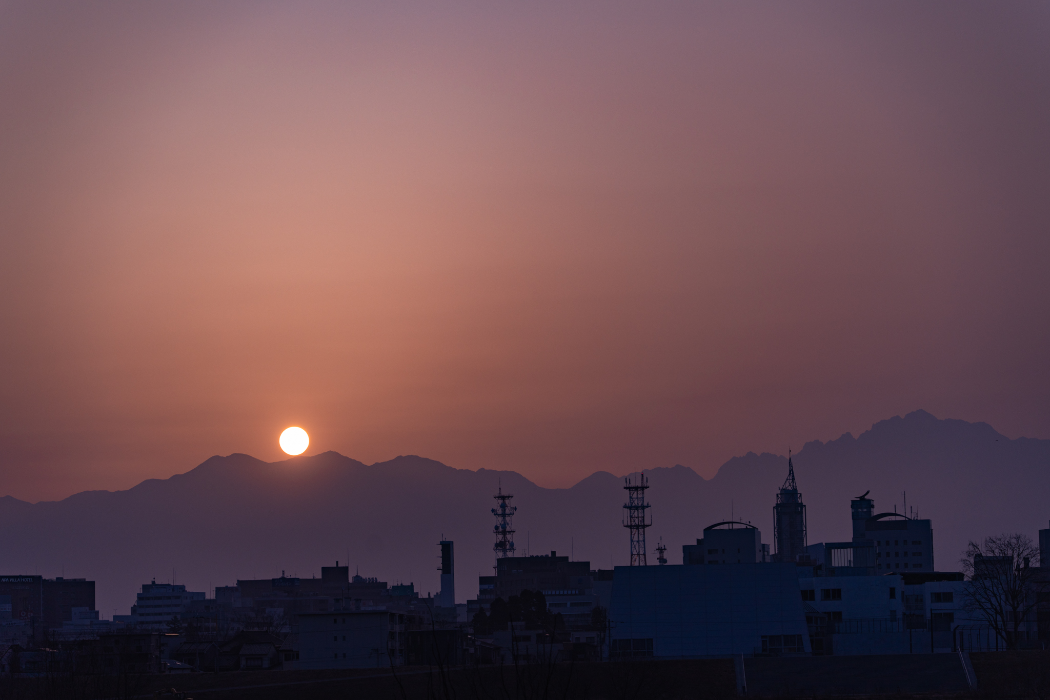 f:id:Paradisia:20220325172649j:plain