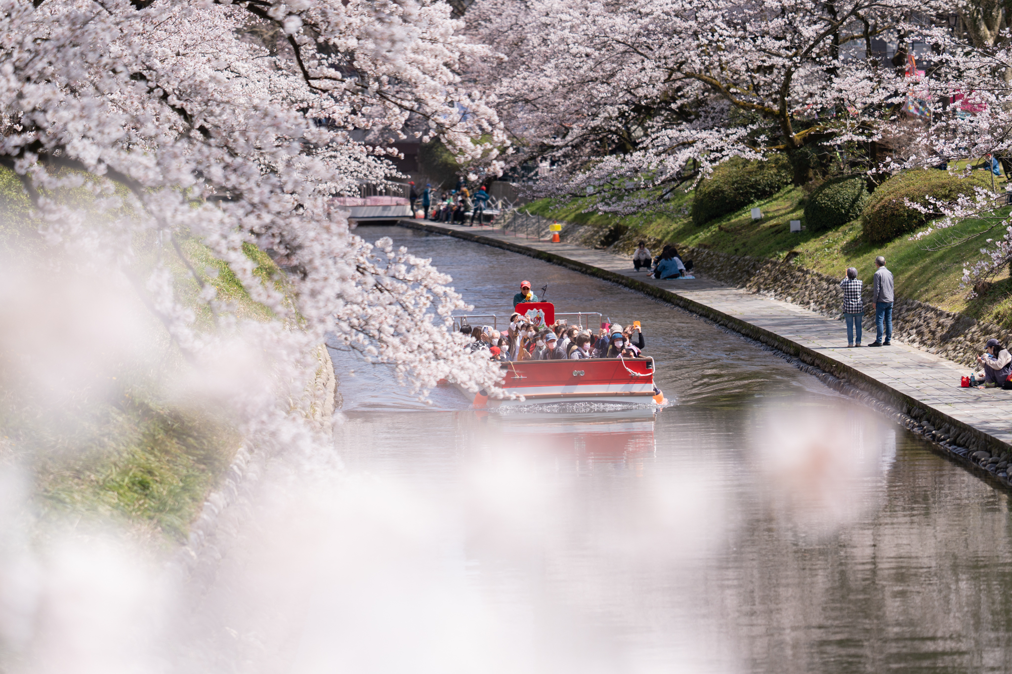 f:id:Paradisia:20220405151446j:plain