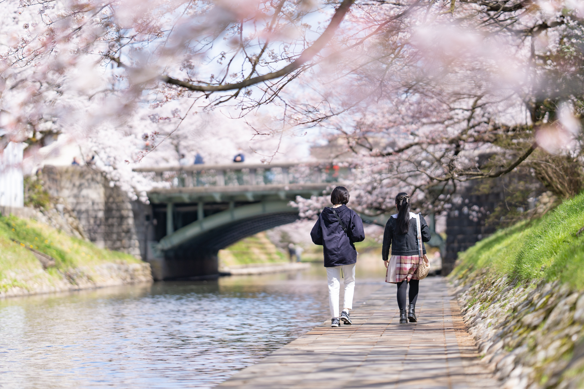 f:id:Paradisia:20220405151547j:plain