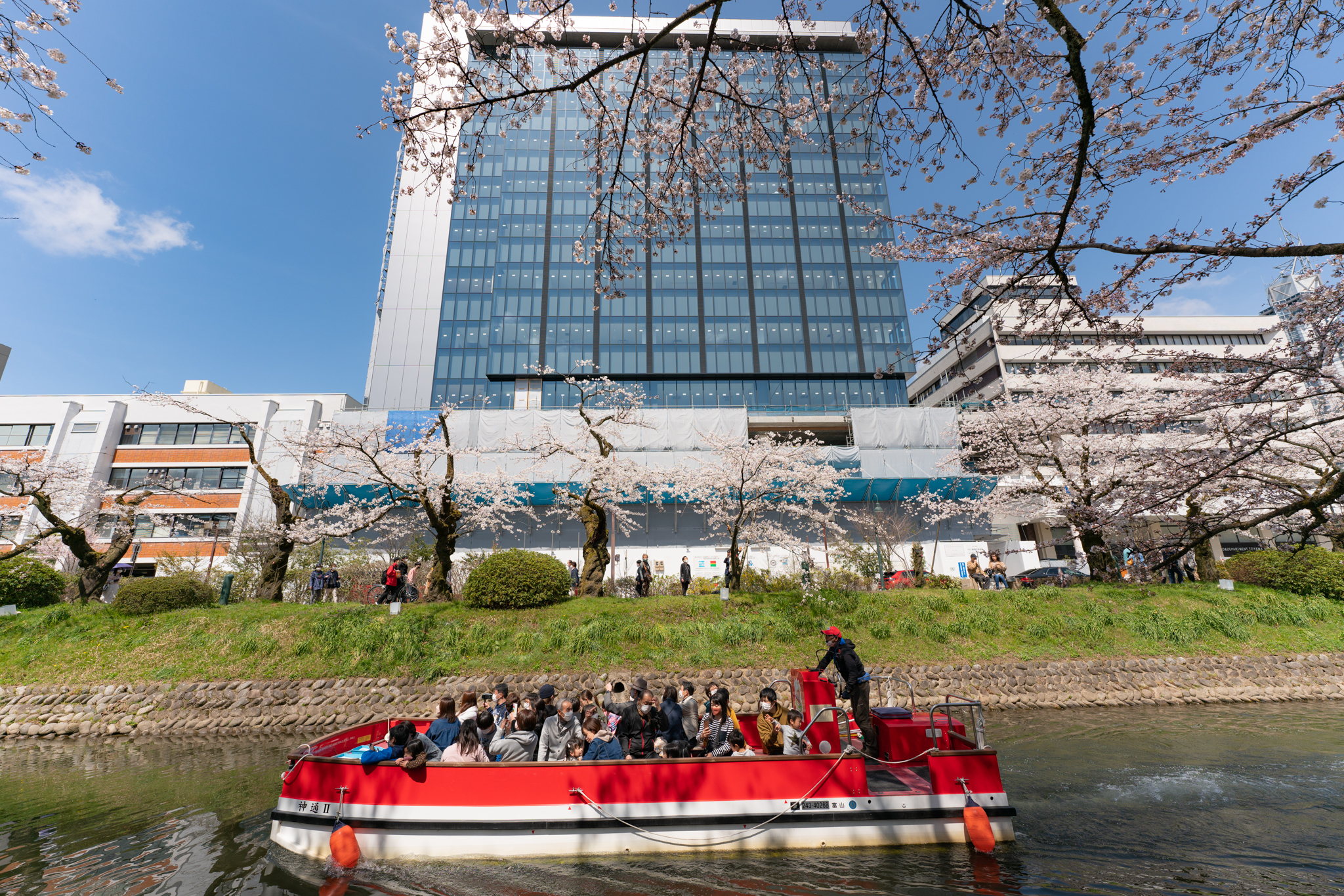 f:id:Paradisia:20220405151604j:plain