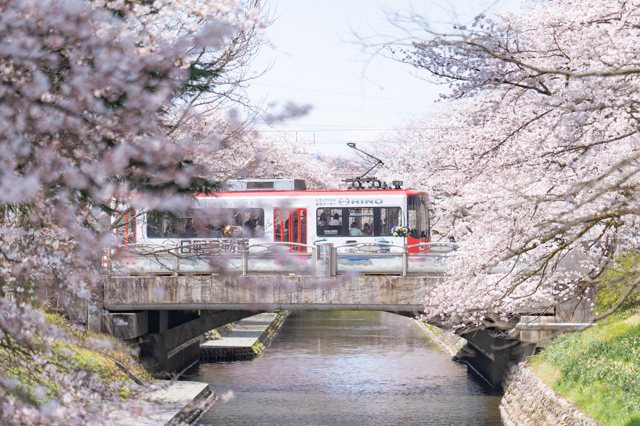 f:id:Paradisia:20220405151825j:plain