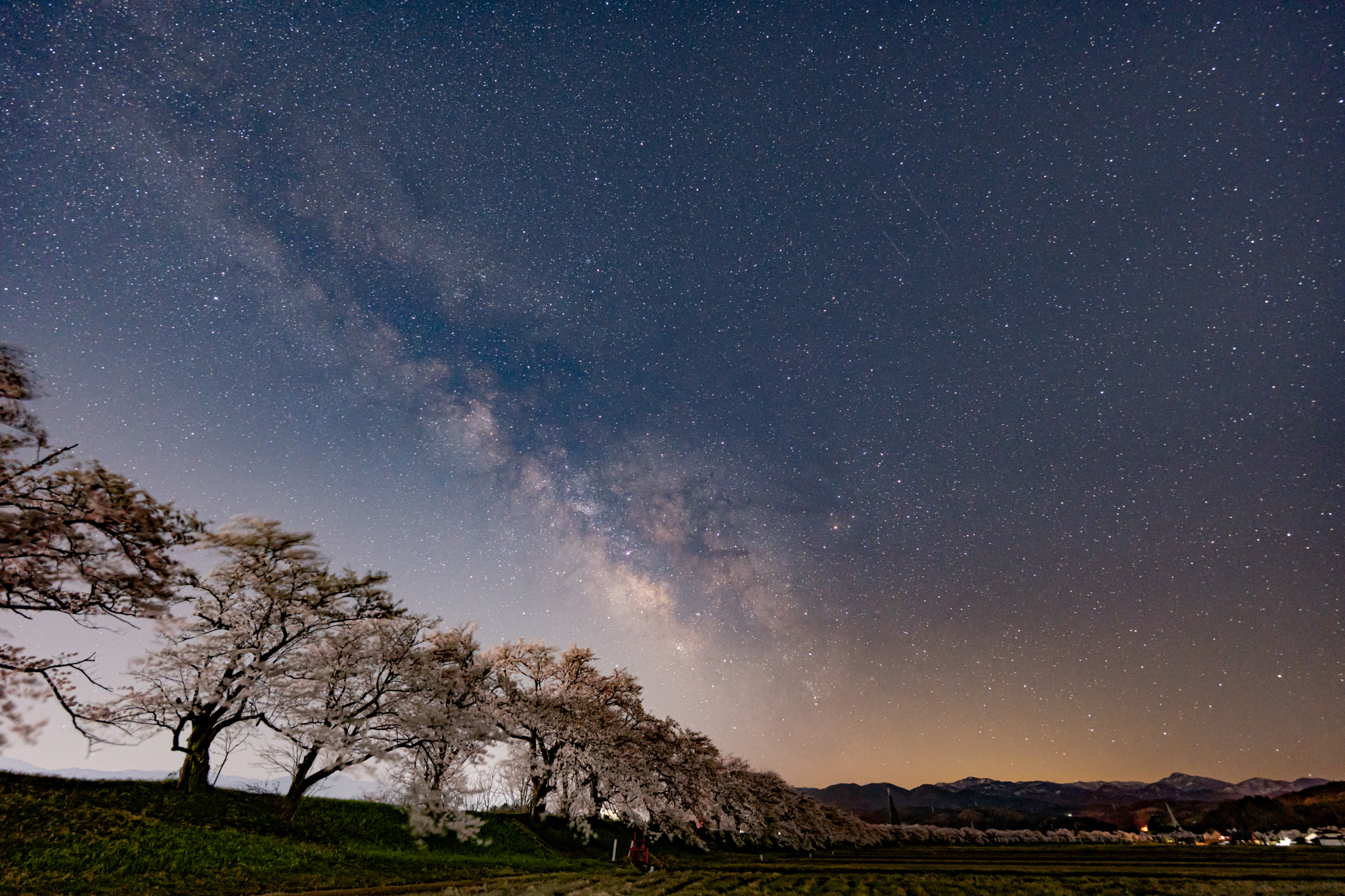 f:id:Paradisia:20220409162006j:plain