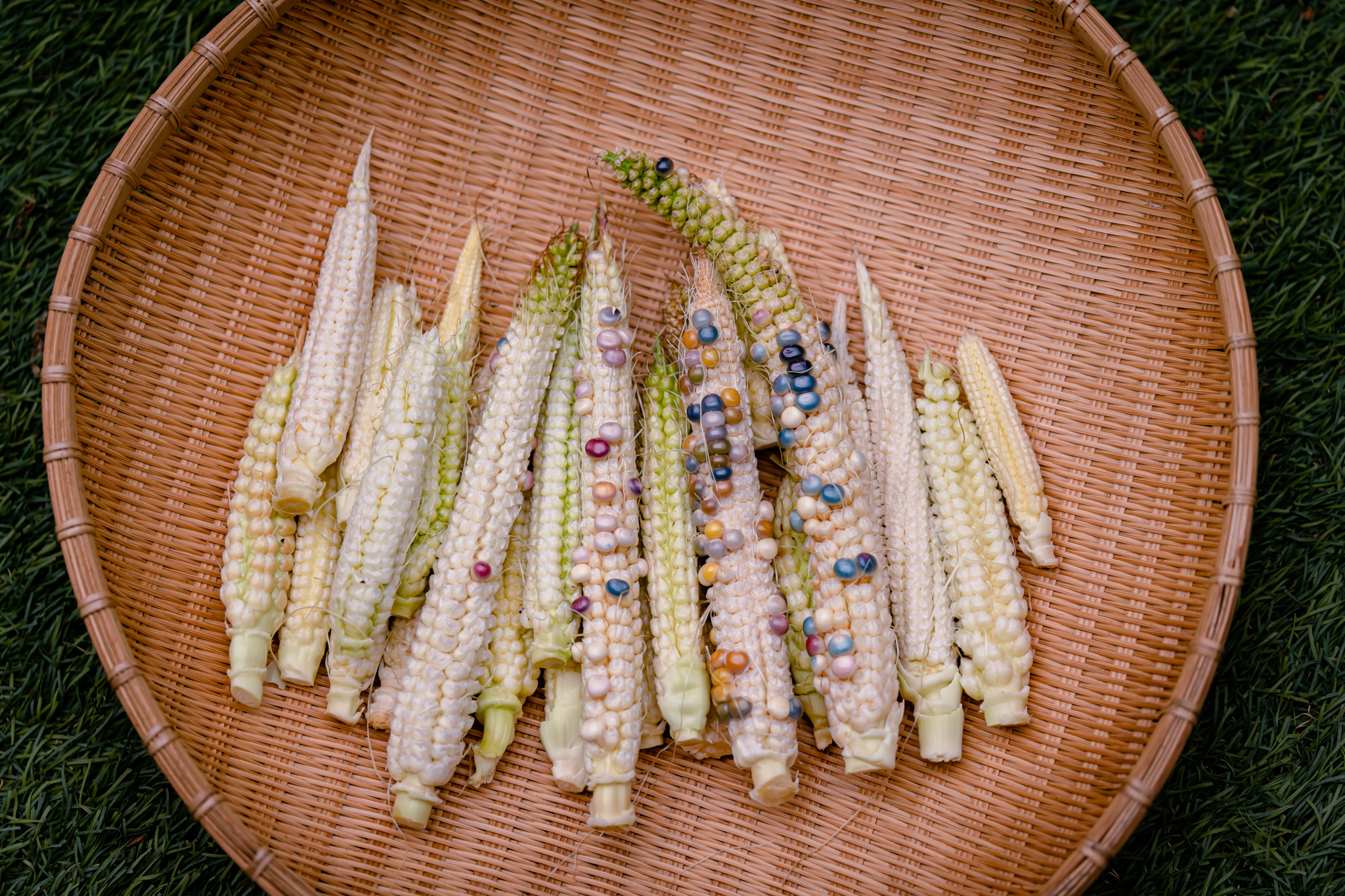 グラスジェムコーン太め　６０本詰め合わせ f33300d6b7a38514c79d7e50b69664