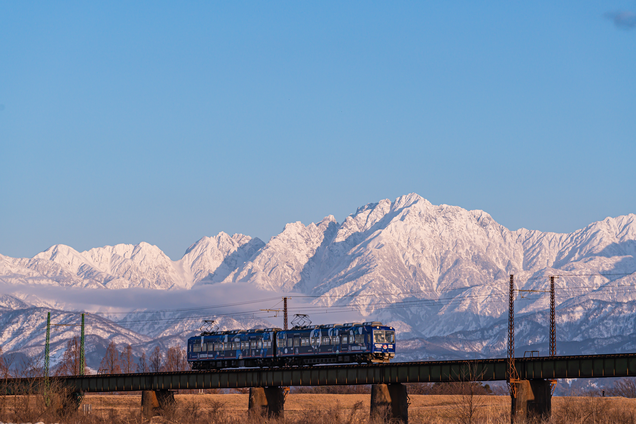 だいこんが多かった今宵の富山地鉄 - 光と風と薔薇と