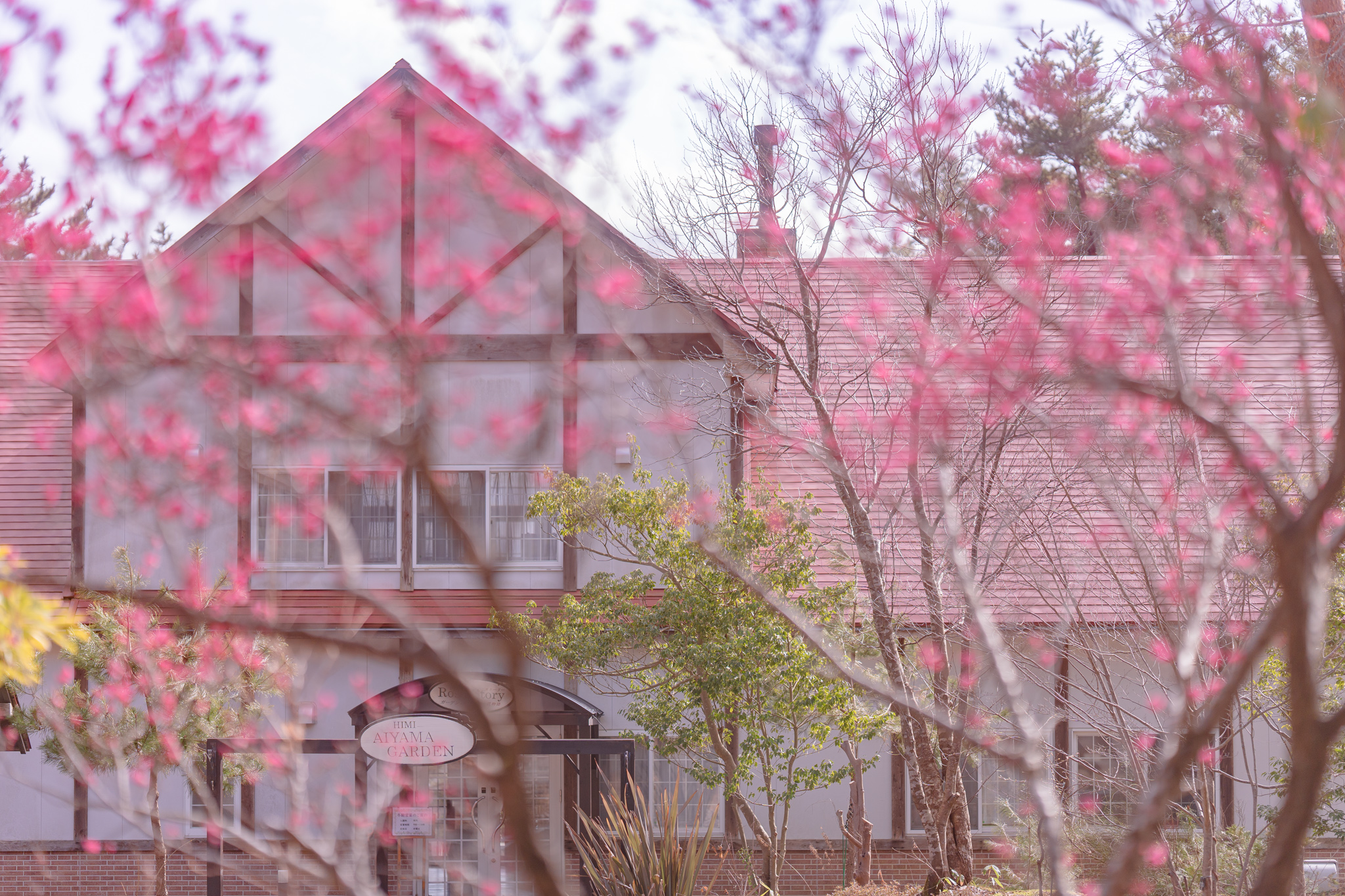 早春のあいやまガーデン - 光と風と薔薇と