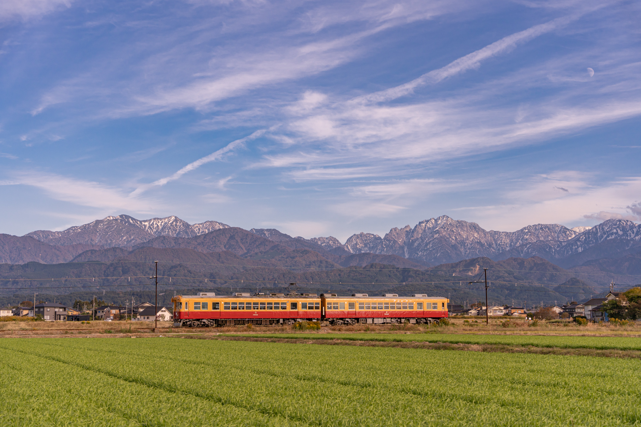 雪の立山連峰と麦の緑 - 光と風と薔薇と