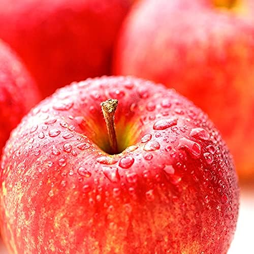 色づく姫リンゴ並木 - 光と風と薔薇と