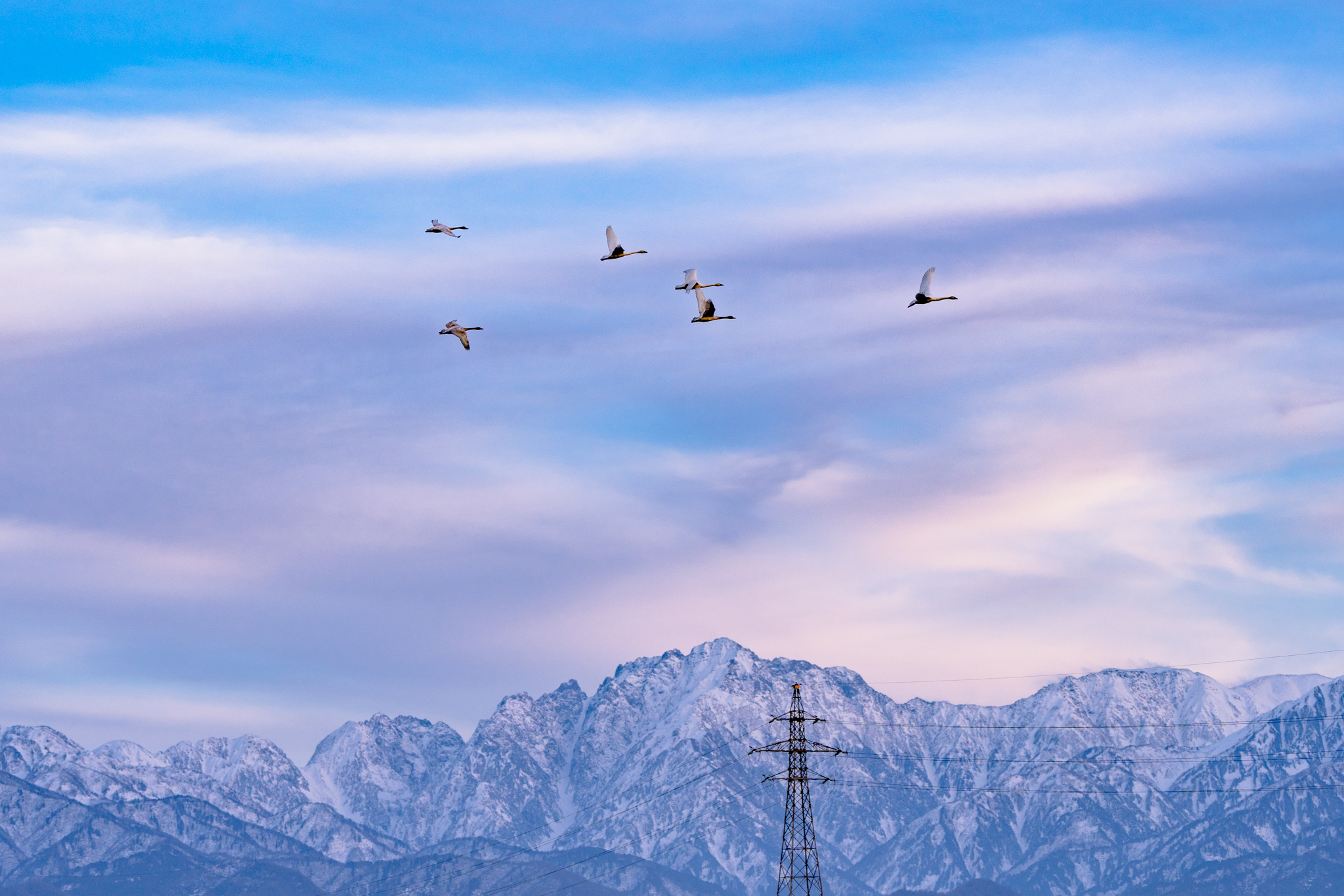 富山で休もう - 光と風と薔薇と