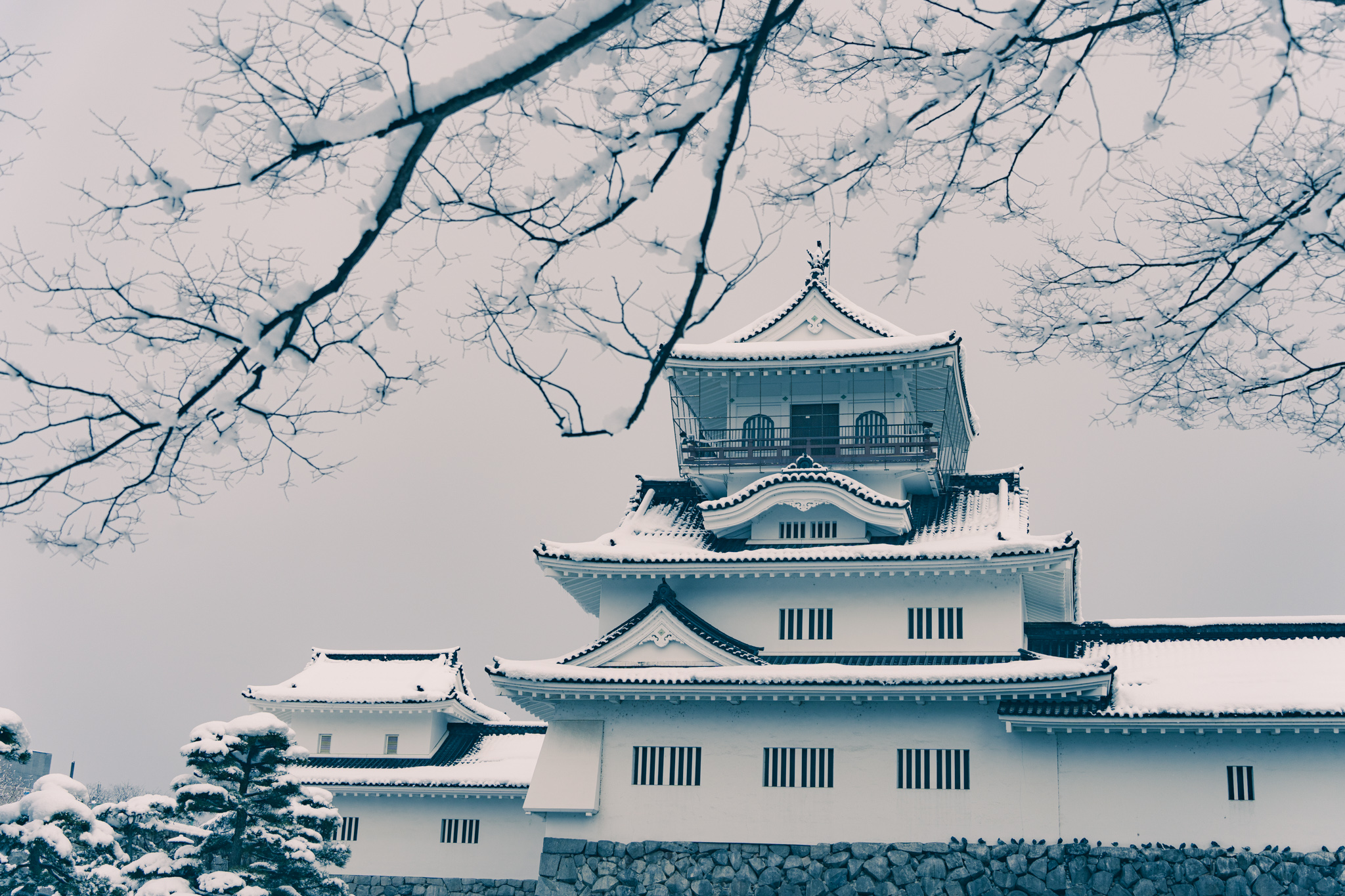 雪の富山城址公園 - 光と風と薔薇と
