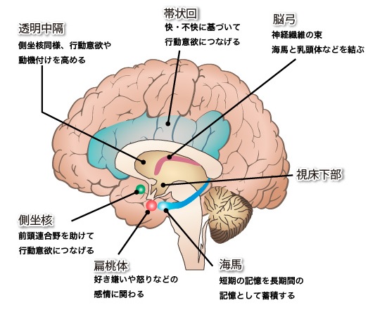 アナパナ サティ 呼吸意識の本質 仏道修行のゼロポイント