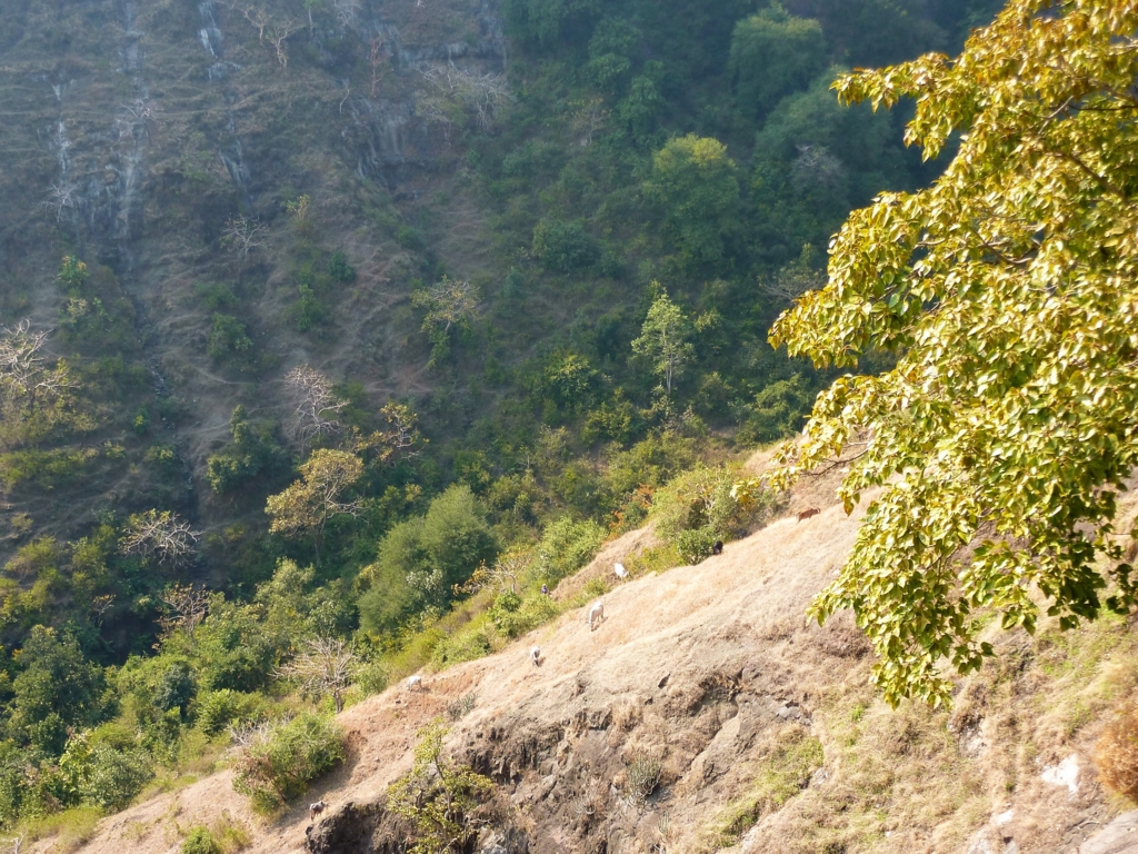 f:id:Parashraama:20161105225952j:plain f:id:Parashraama:20161105225952j:plain