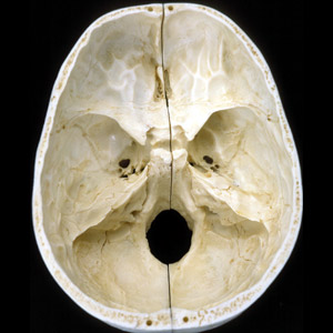 f:id:Parashraama:20191128142459j:plain