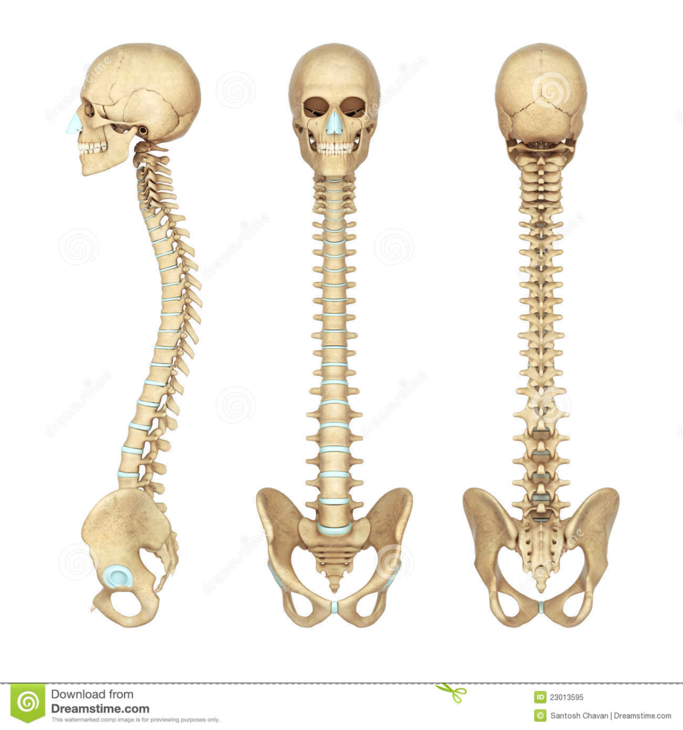 f:id:Parashraama:20191128162858p:plain